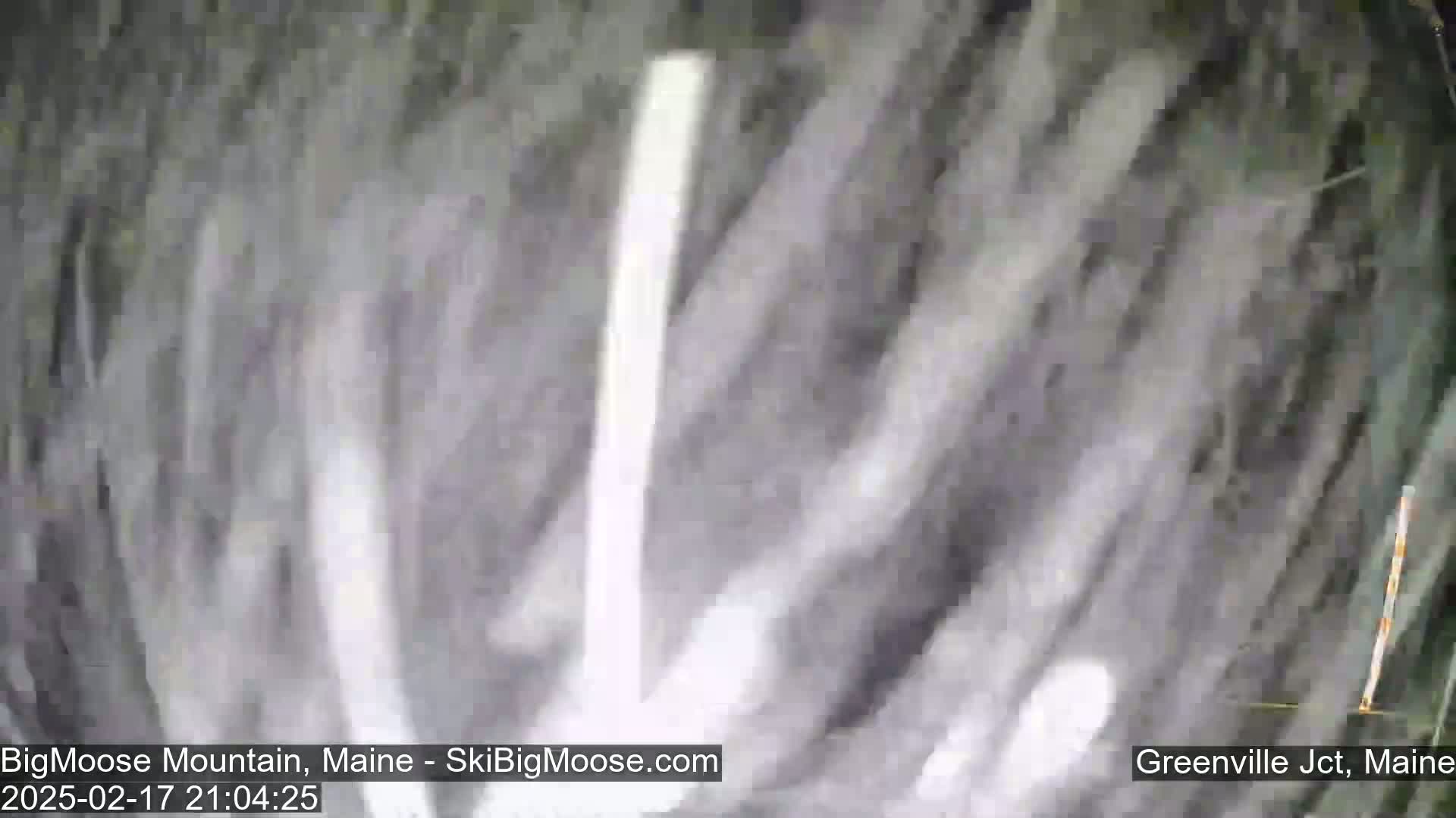 A blurry image shows a mostly white, vertical streak against a dark gray, indistinct background in snowy conditions.