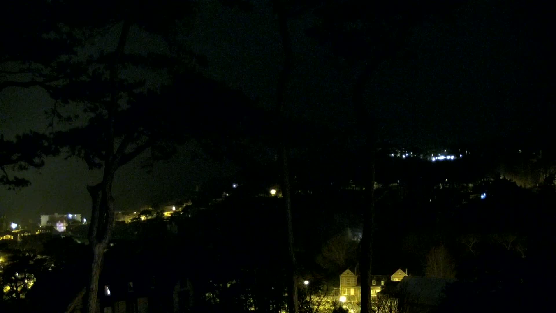 A nighttime view from behind trees shows a hilly landscape with scattered lights from buildings and streetlights.