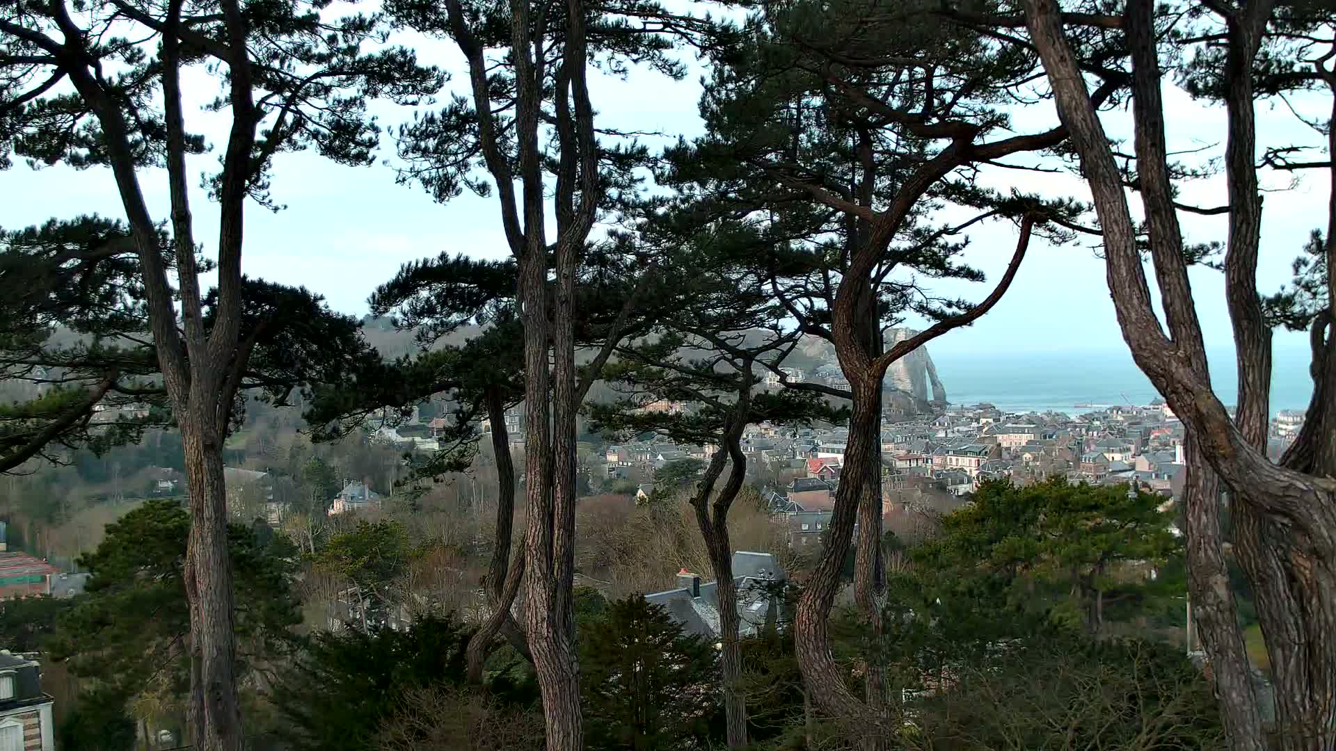 Tall pine trees frame a view of a town nestled in a hillside, with a distant ocean and a large rock formation visible in the background under a mostly clear sky.