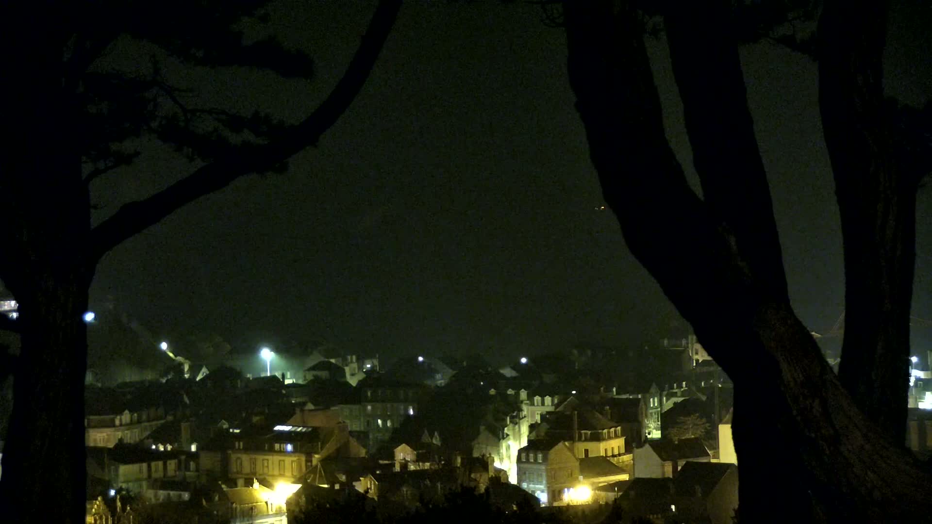 A nighttime view of a town's dimly lit buildings, seen through the dark silhouettes of trees under a hazy sky.
