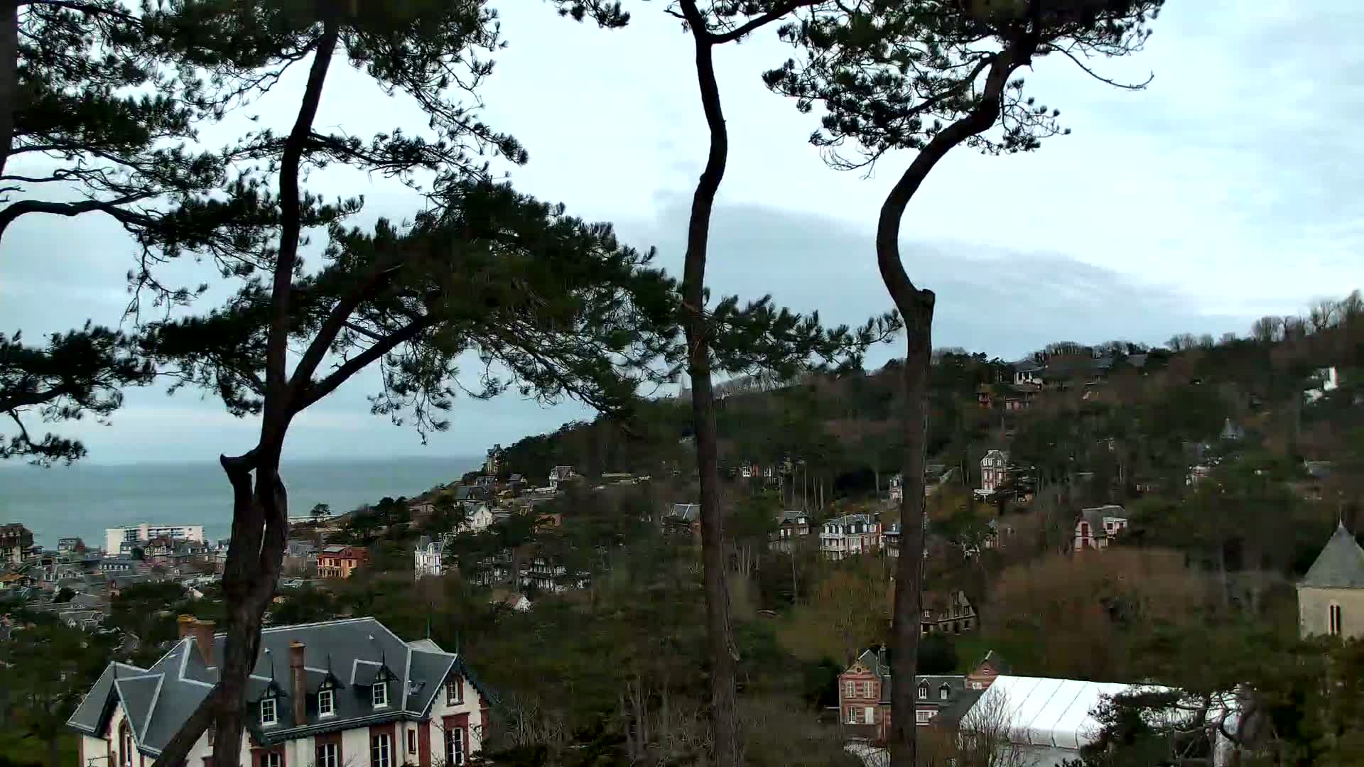 A coastal hillside town, seen from an elevated perspective on an overcast day, is dotted with houses nestled amongst dark green trees, with a calm ocean visible in the distance.
