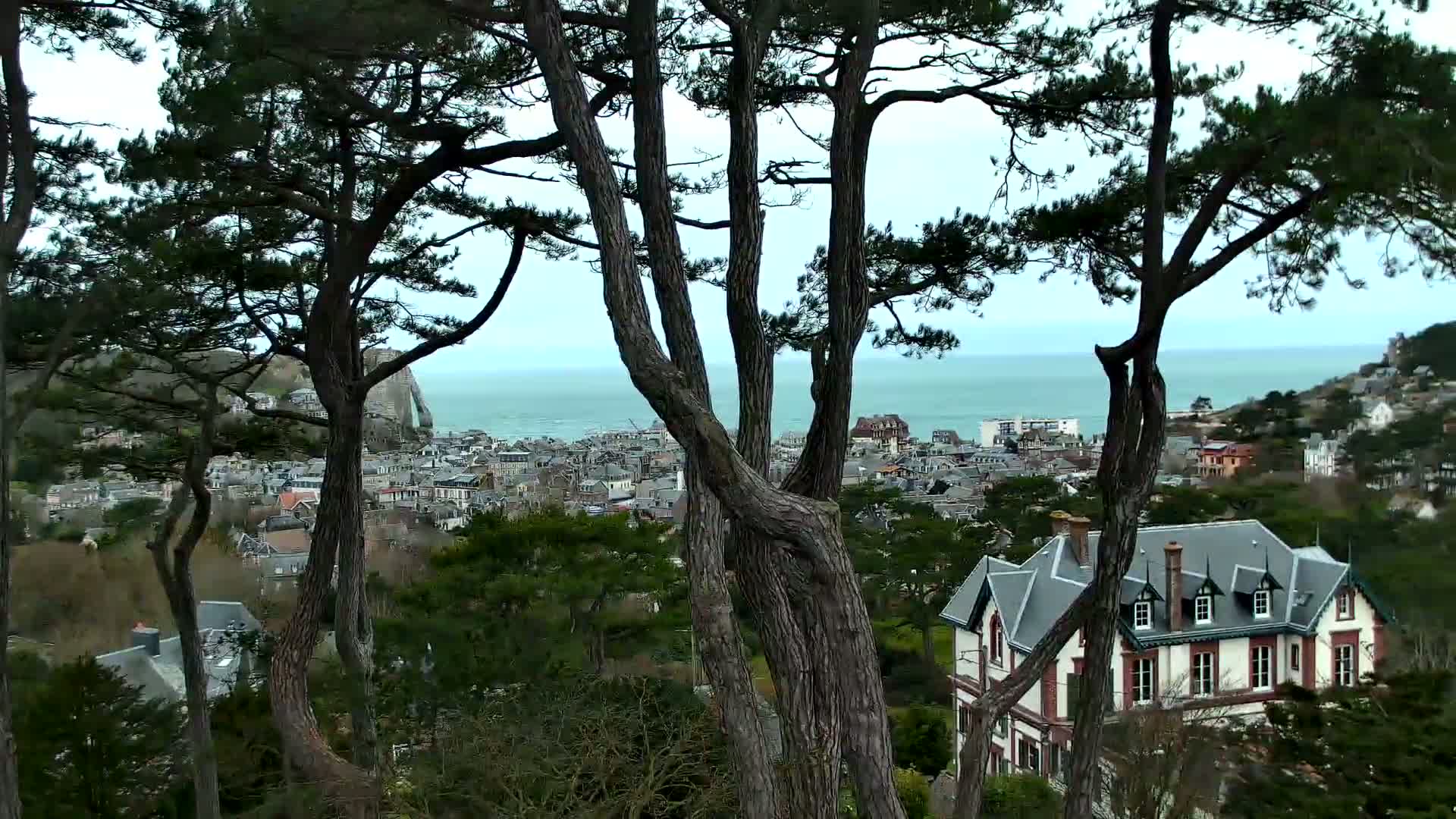 A coastal town with a large house is seen from behind several pine trees on a partly cloudy day.