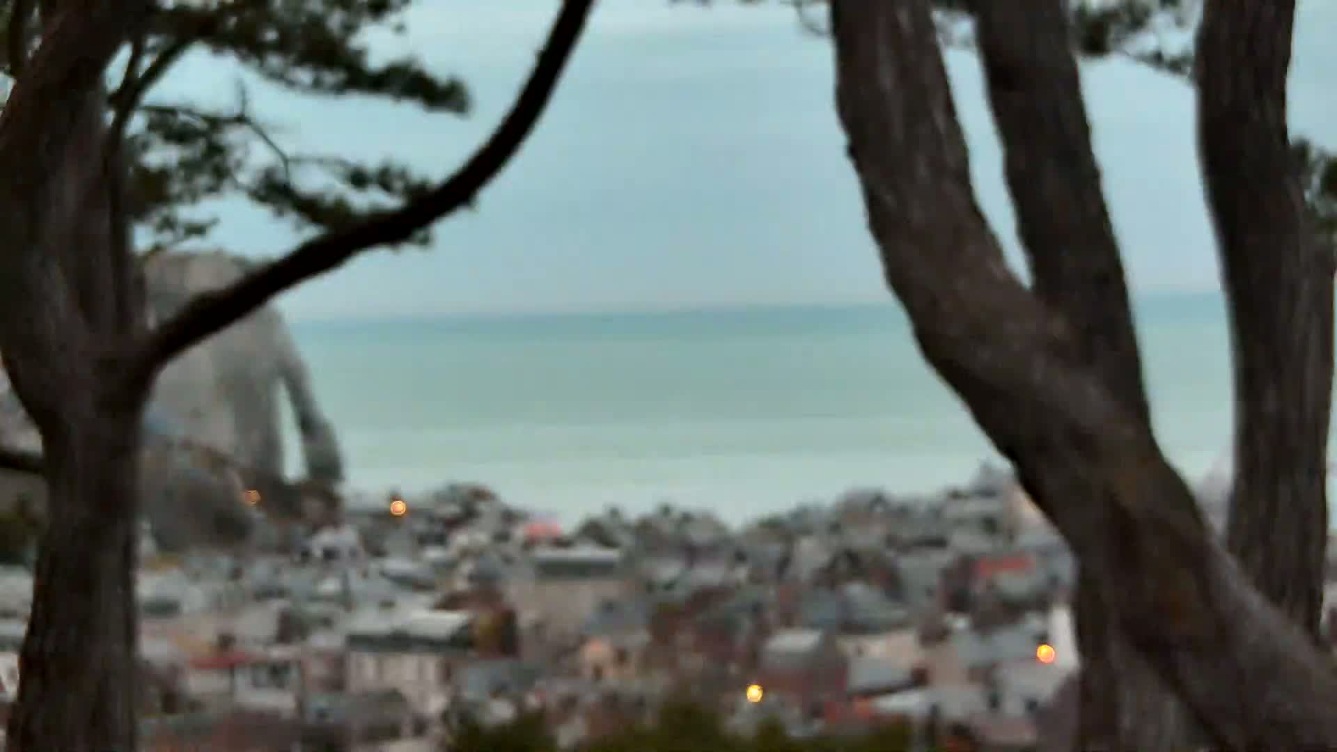 A blurry view through tree trunks shows a coastal town and calm sea under an overcast sky.