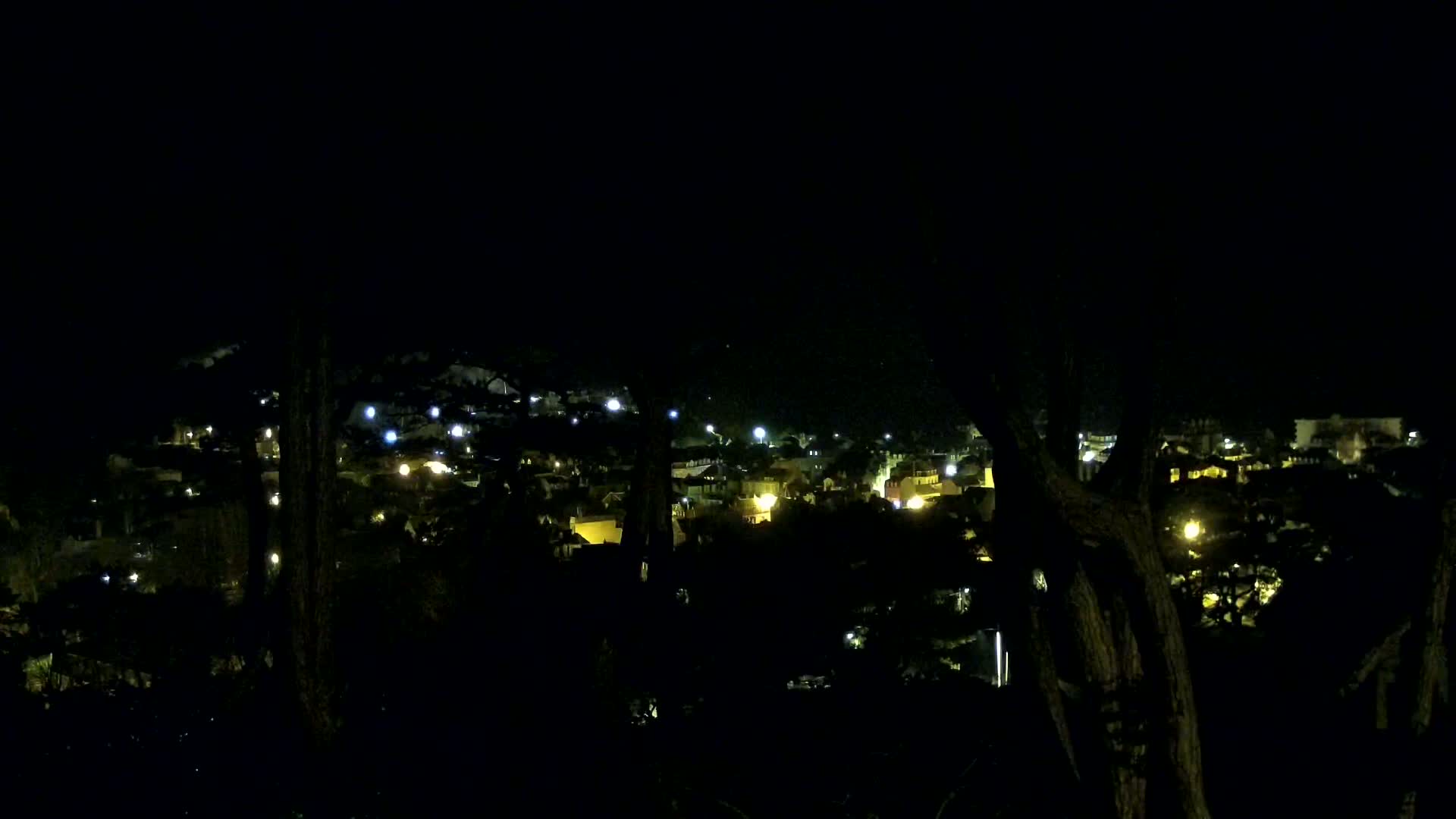 A nighttime view of a town nestled among dark trees, illuminated by scattered streetlights.