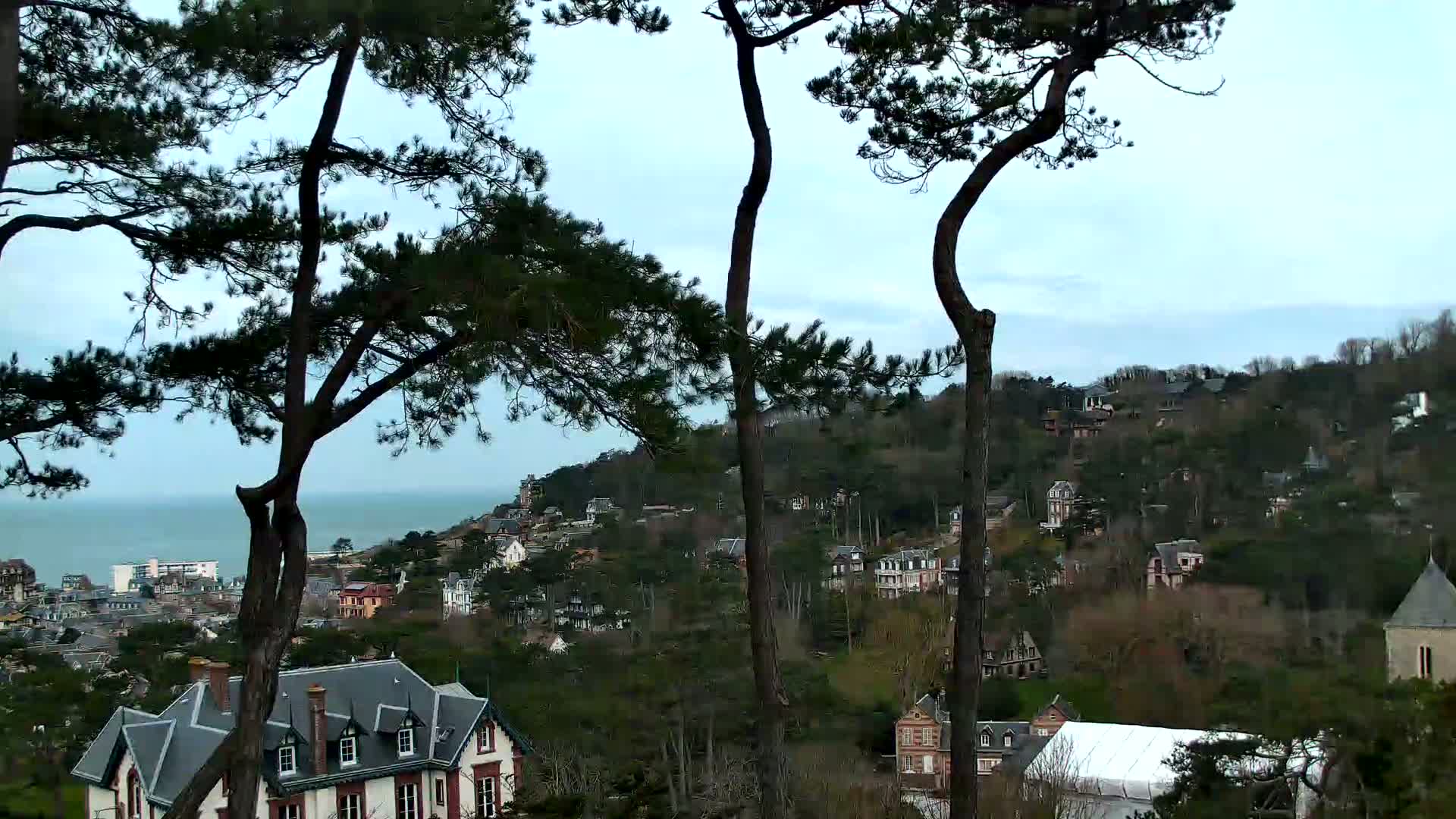 A hillside town with numerous houses is visible beyond several tall pine trees, overlooking a calm ocean under a mostly cloudy sky.