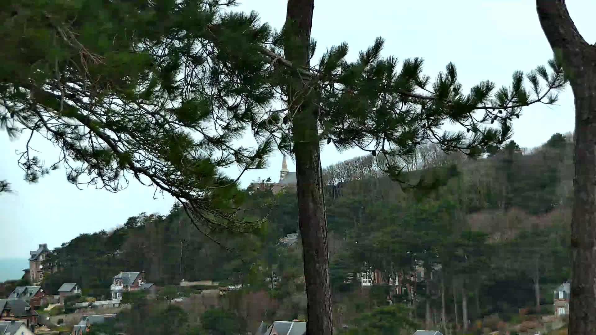 A hillside village with houses nestled among evergreen trees, partially obscured by pine branches in the foreground, under a cloudy sky.