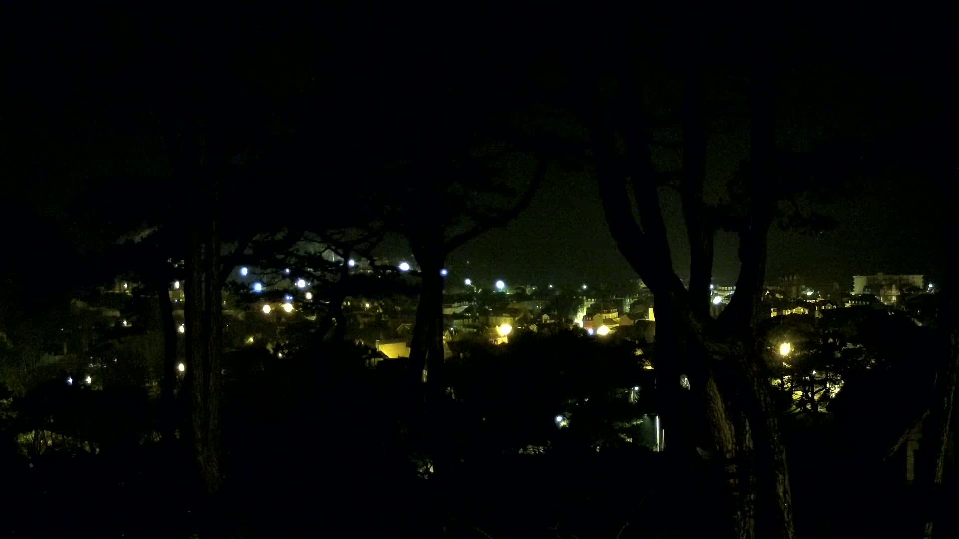 A nighttime view of a town's lights seen through the dark silhouettes of trees.