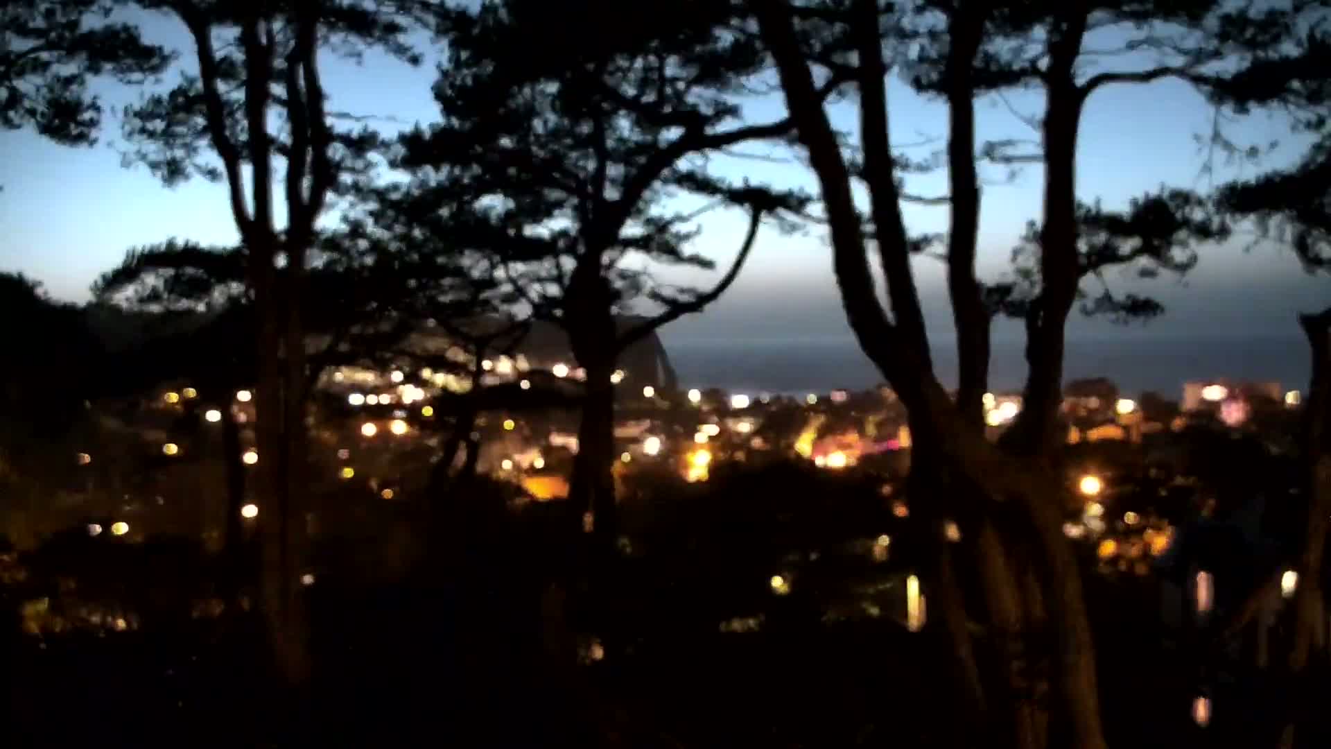 Silhouetted trees frame a blurred view of a nighttime coastal town illuminated by many lights under a twilight sky.