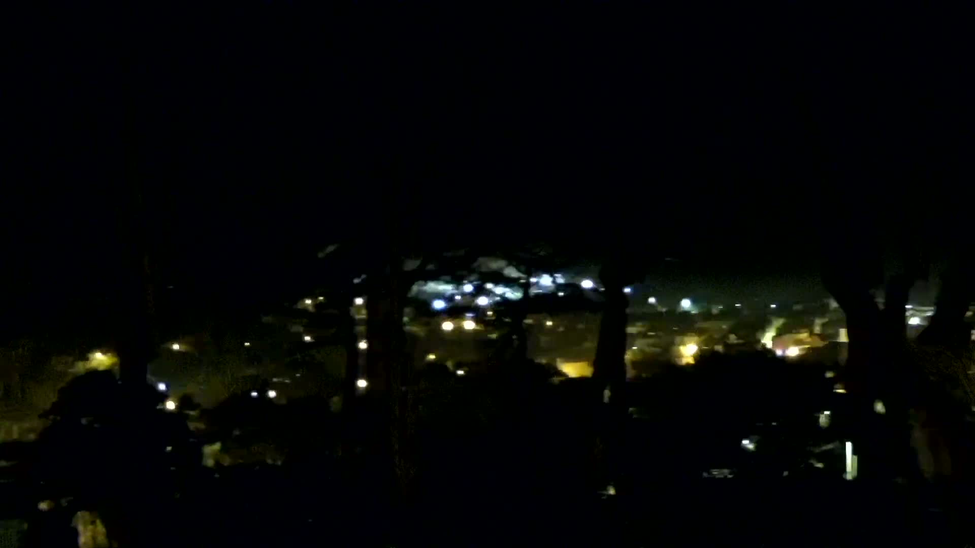 A nighttime view of a town's lights partially obscured by silhouetted trees.