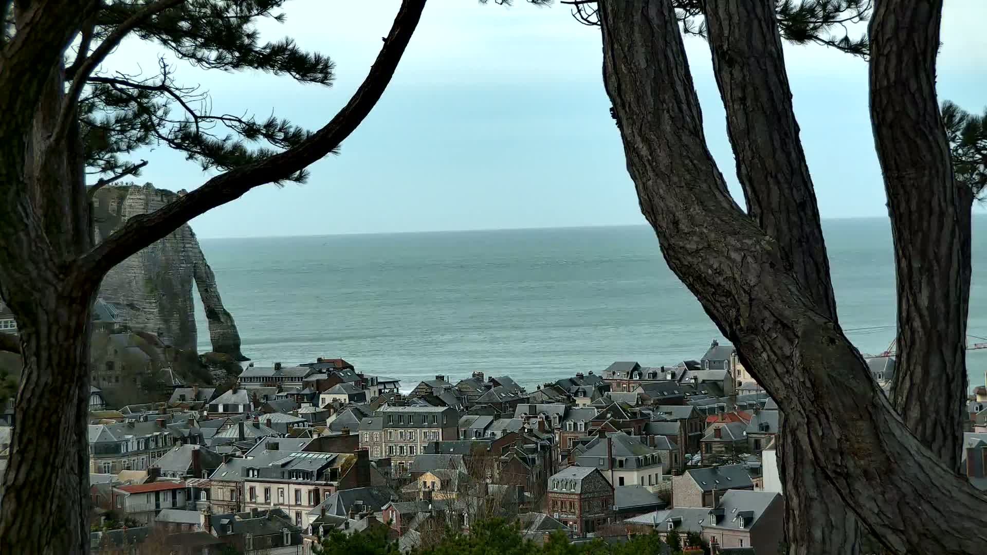 A coastal town with gray-roofed houses nestles below a dramatic white cliff, all viewed through the branches of dark trees on an overcast day.