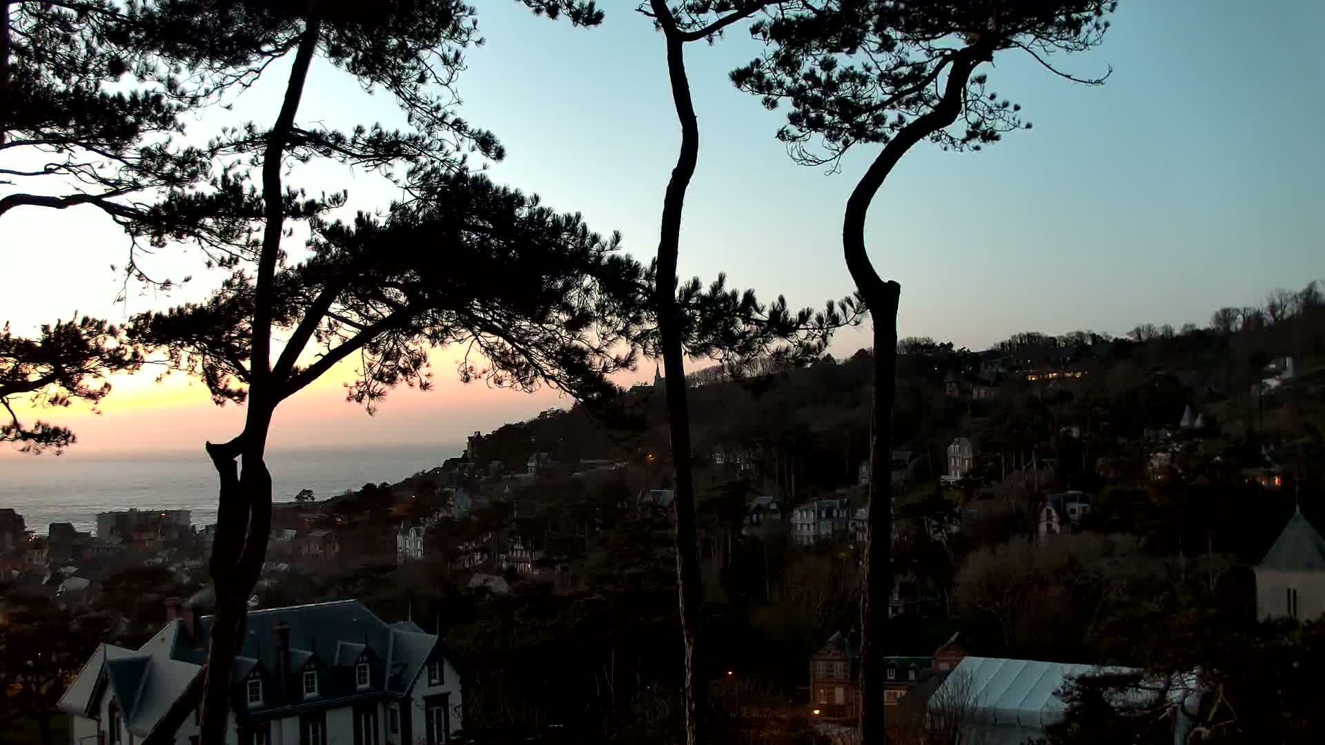 Silhouetted pine trees frame a sunset view over a coastal town nestled on a hillside, the ocean visible in the distance.