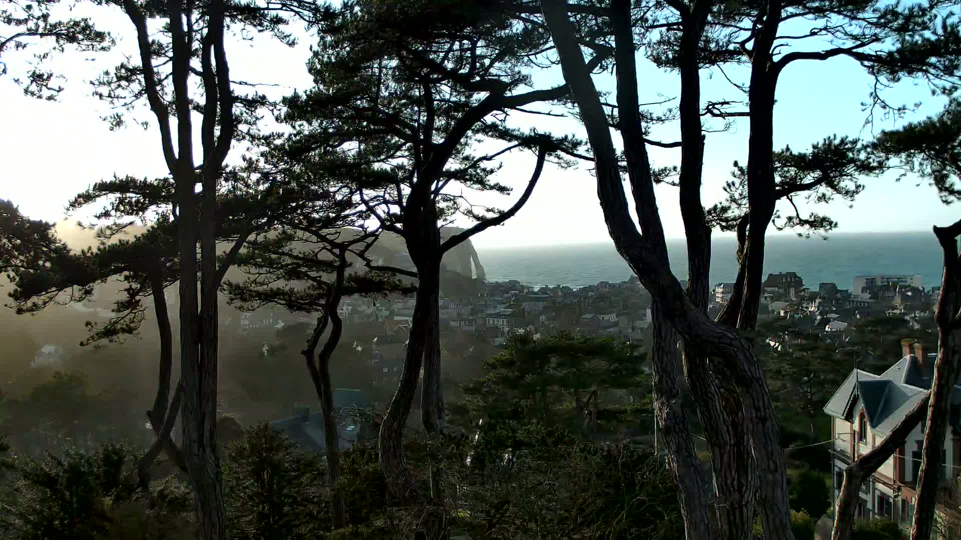 Silhouetted pine trees partially obscure a view of a coastal town and ocean under a hazy sky.