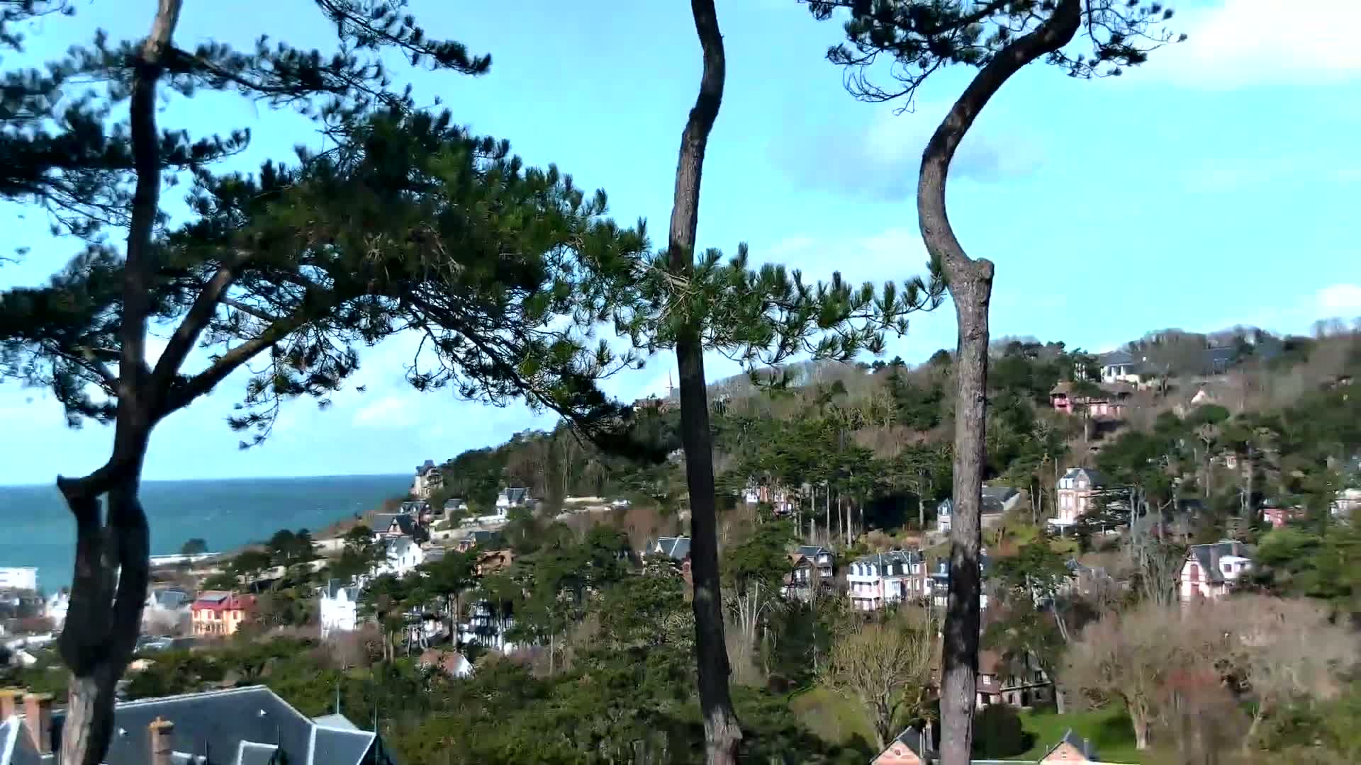 A hillside village of houses nestled amongst evergreen trees overlooks a calm ocean under a bright, sunny sky.
