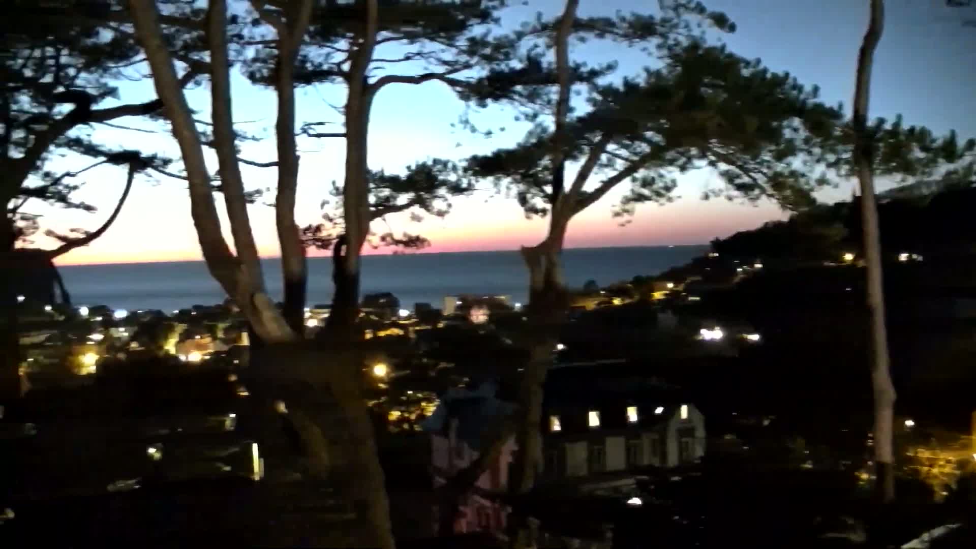 A coastal town at twilight is seen through the branches of pine trees, with a calm ocean in the background.