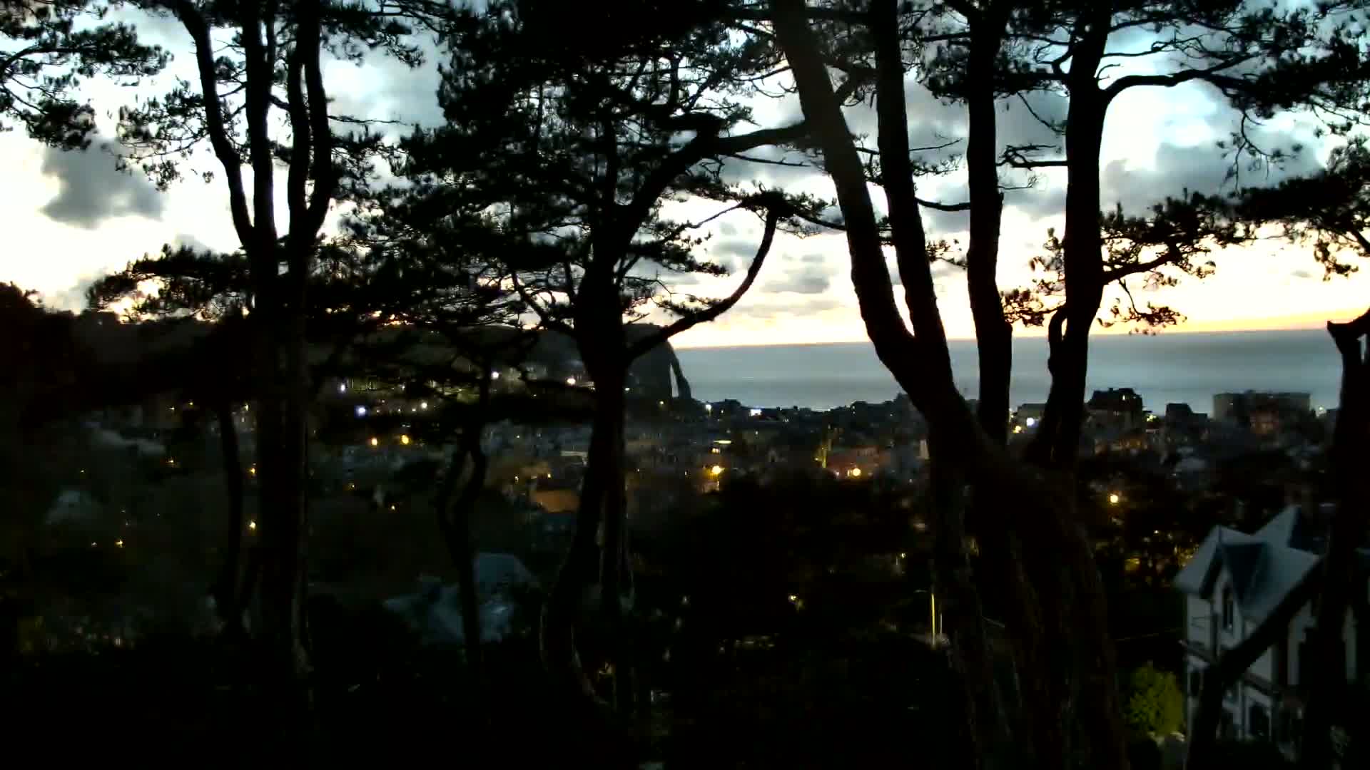 Silhouetted trees frame a twilight view of a coastal town with scattered lights, overlooking a calm ocean under a partly cloudy sky.