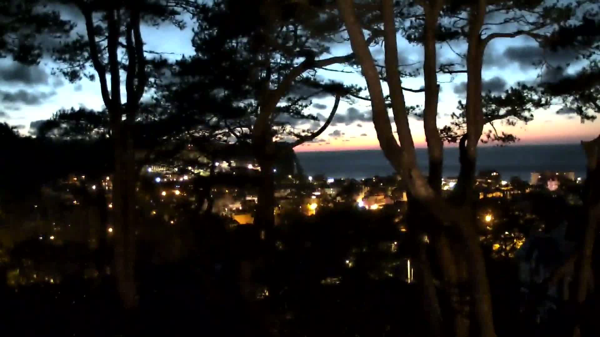 Silhouetted trees frame a view of a coastal town at twilight, with the ocean visible in the background under a partly cloudy sky.