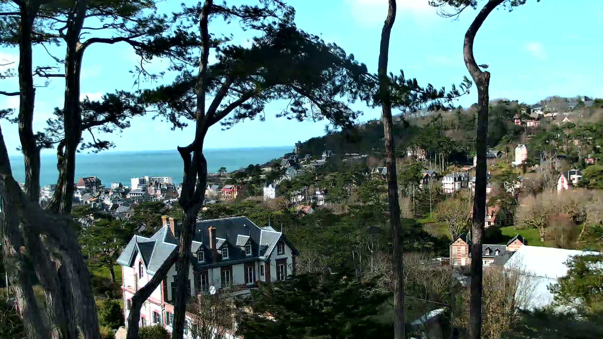 A seaside town nestled on a hillside, viewed through the branches of pine trees on a clear, sunny day.
