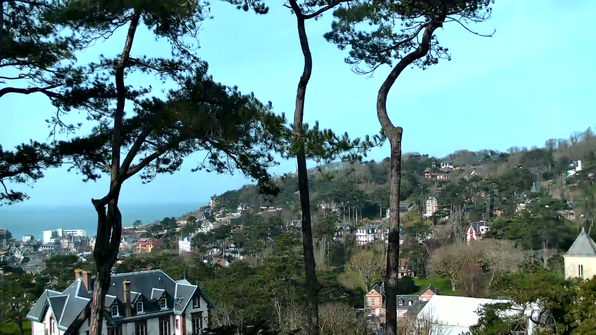 A coastal hillside town is visible through the branches of tall pine trees, under a clear blue sky.