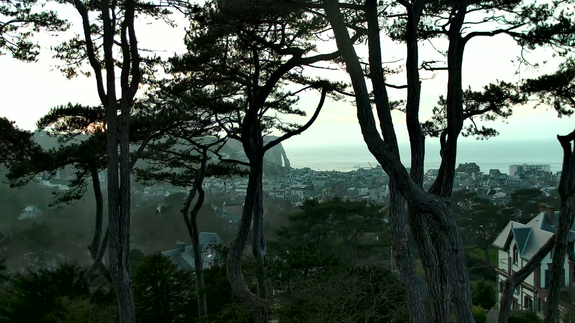 Silhouetted pine trees frame a view of a coastal town under a hazy, overcast sky, with a calm ocean visible in the distance.