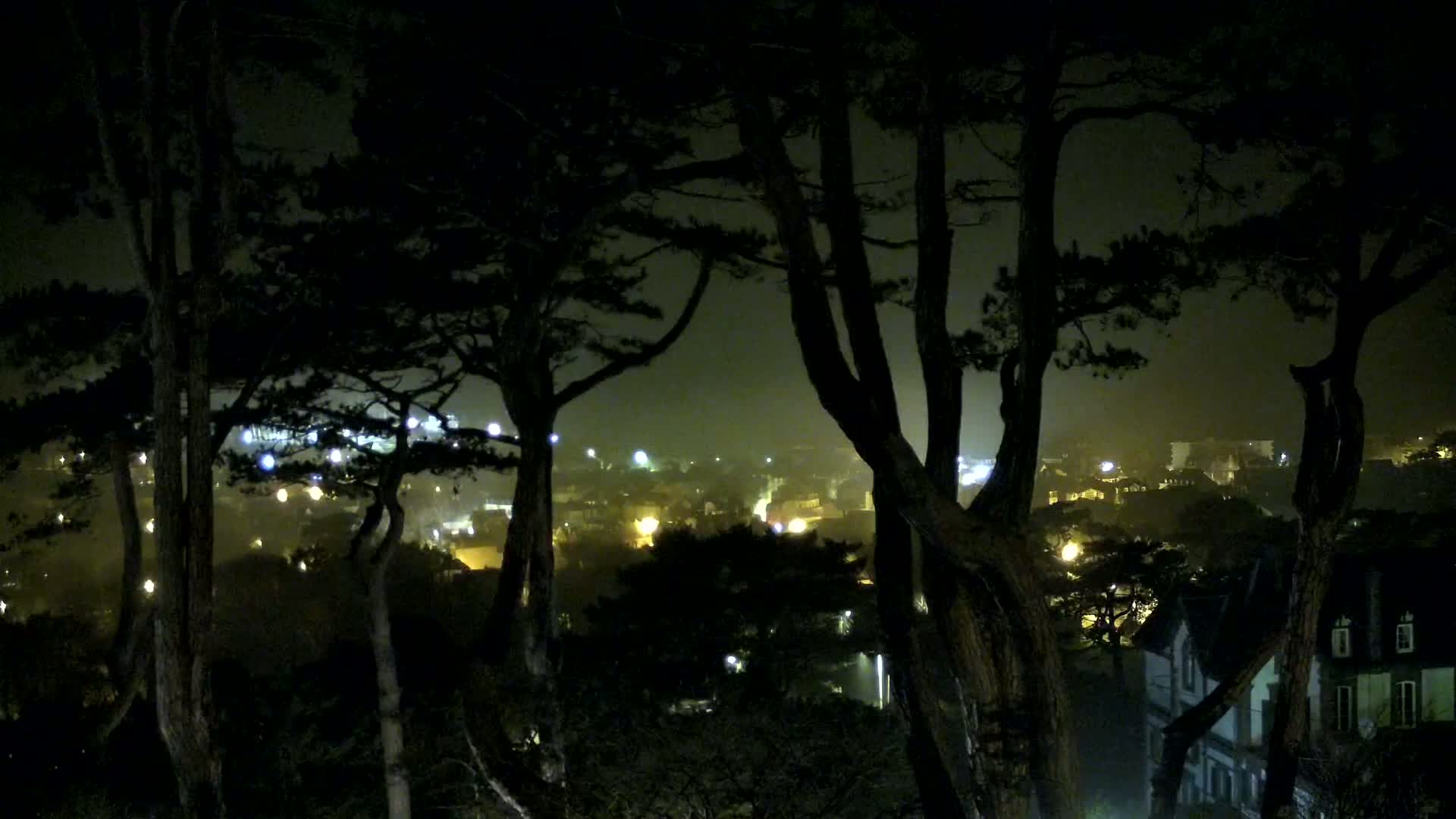 A nighttime view through silhouetted trees shows a hazy, dimly lit town below.