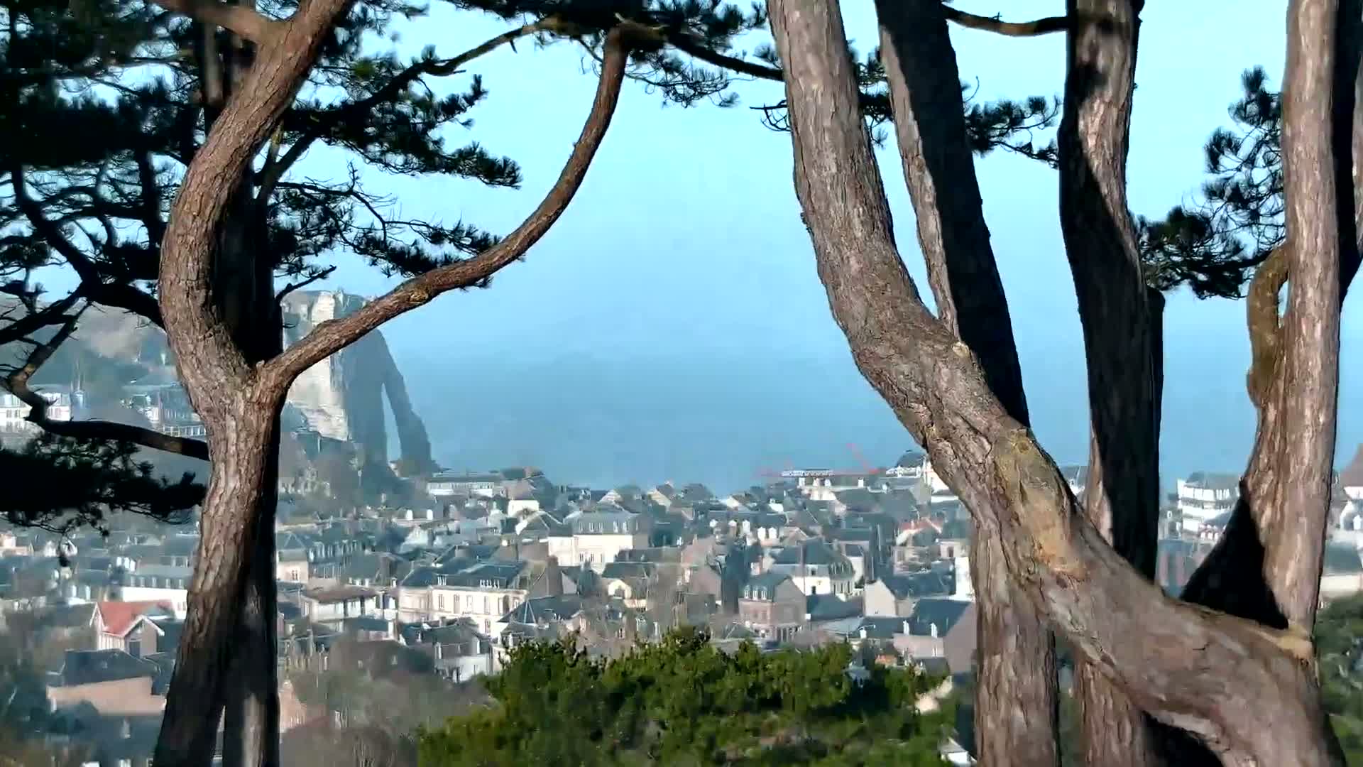 A coastal town with many houses, partially obscured by the trunks and branches of several pine trees, is visible on a hazy day with a calm sea in the background.