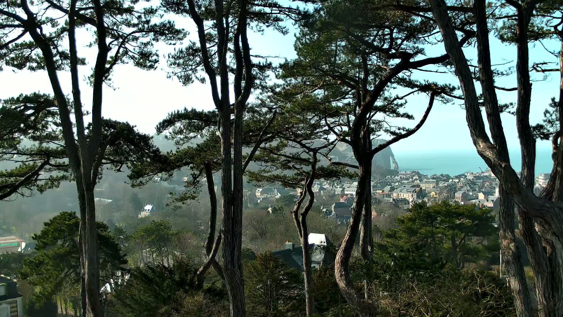 Tall pine trees frame a view of a coastal town on a partly sunny day, with a hazy ocean and cliff visible in the distance.