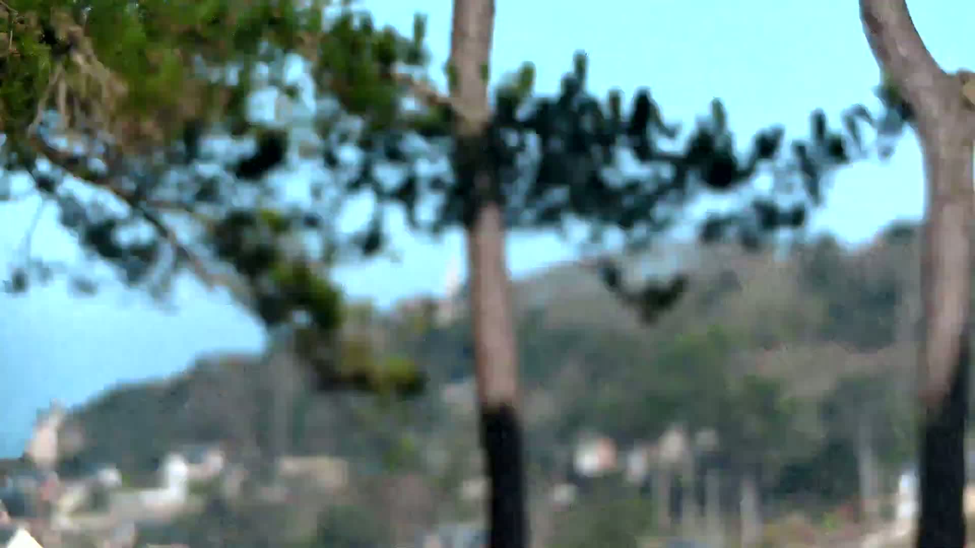 Blurred tree branches partially obscure a view of distant houses and hills on a clear, sunny day.