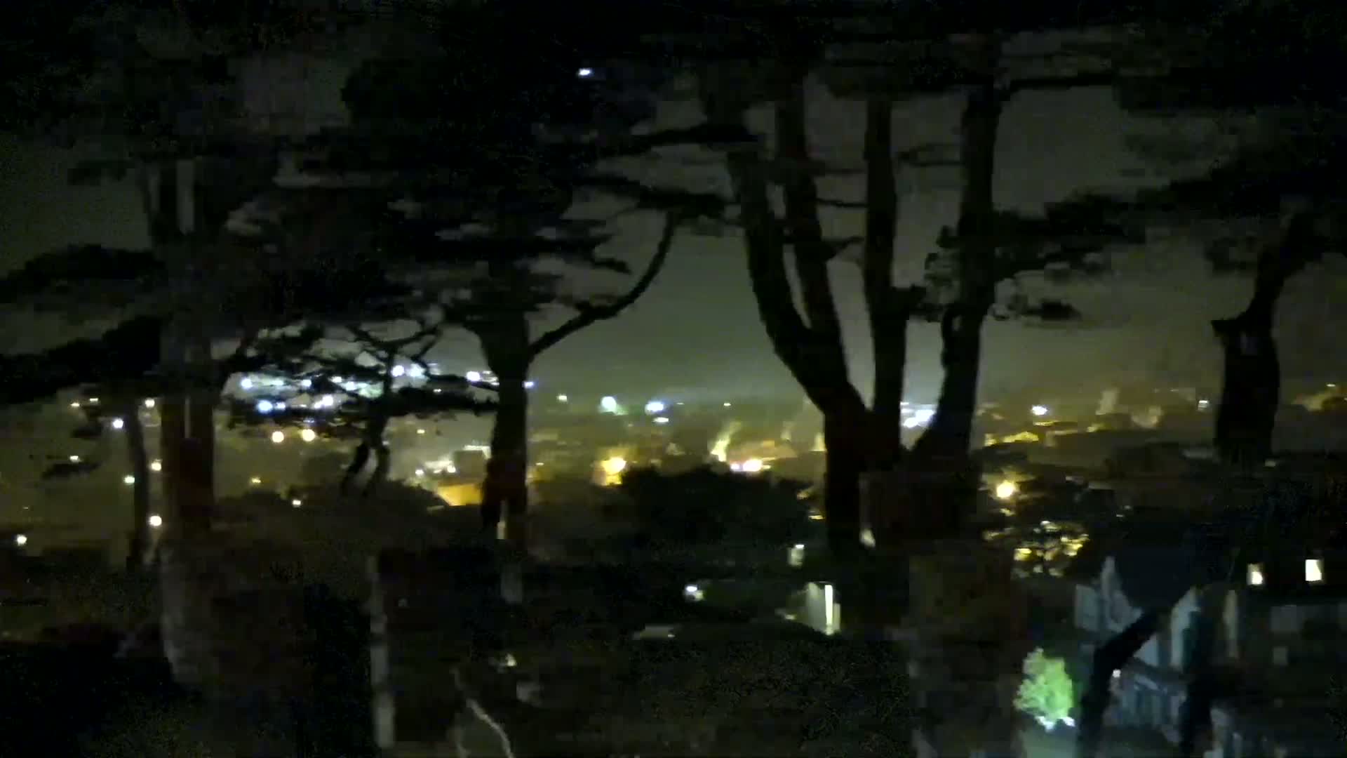 A nighttime view of a town's lights through silhouetted trees under a hazy sky.