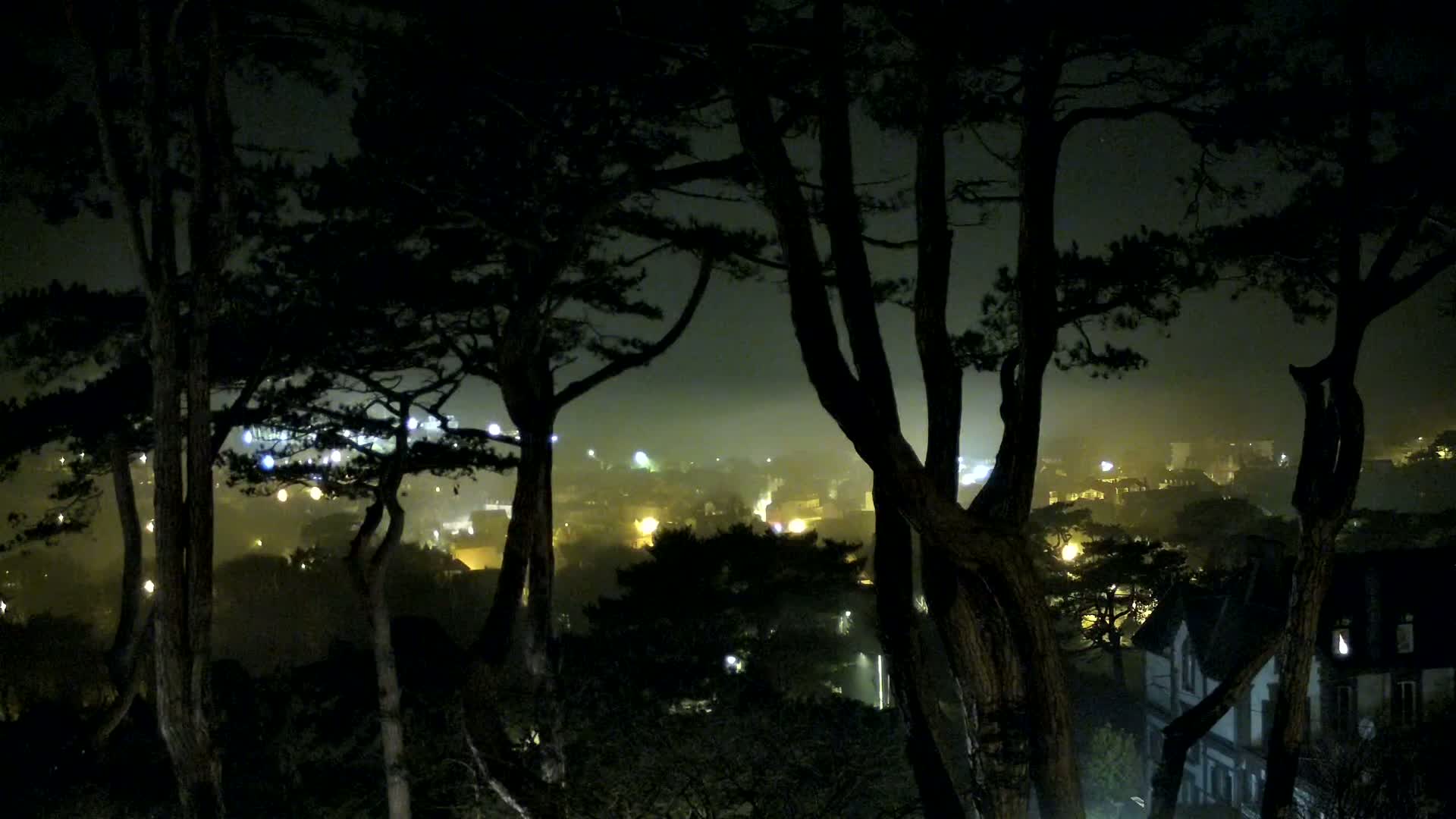 Silhouetted trees frame a foggy, nighttime view of a dimly lit town.