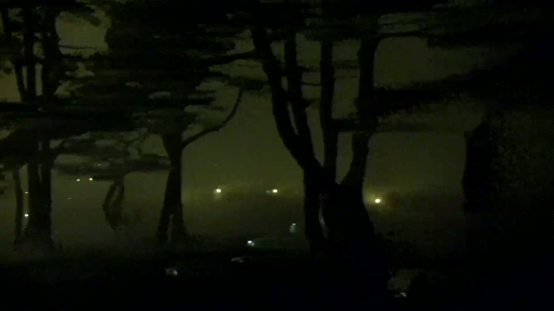 Silhouetted trees stand in the foreground against a foggy, dimly lit nighttime landscape with distant lights.