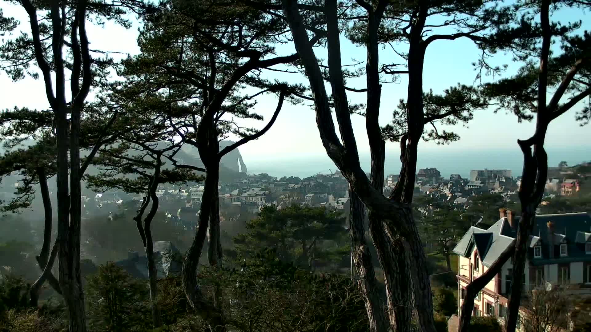 A hazy coastal town is partially visible through the dark silhouettes of several pine trees, under a mostly clear sky.