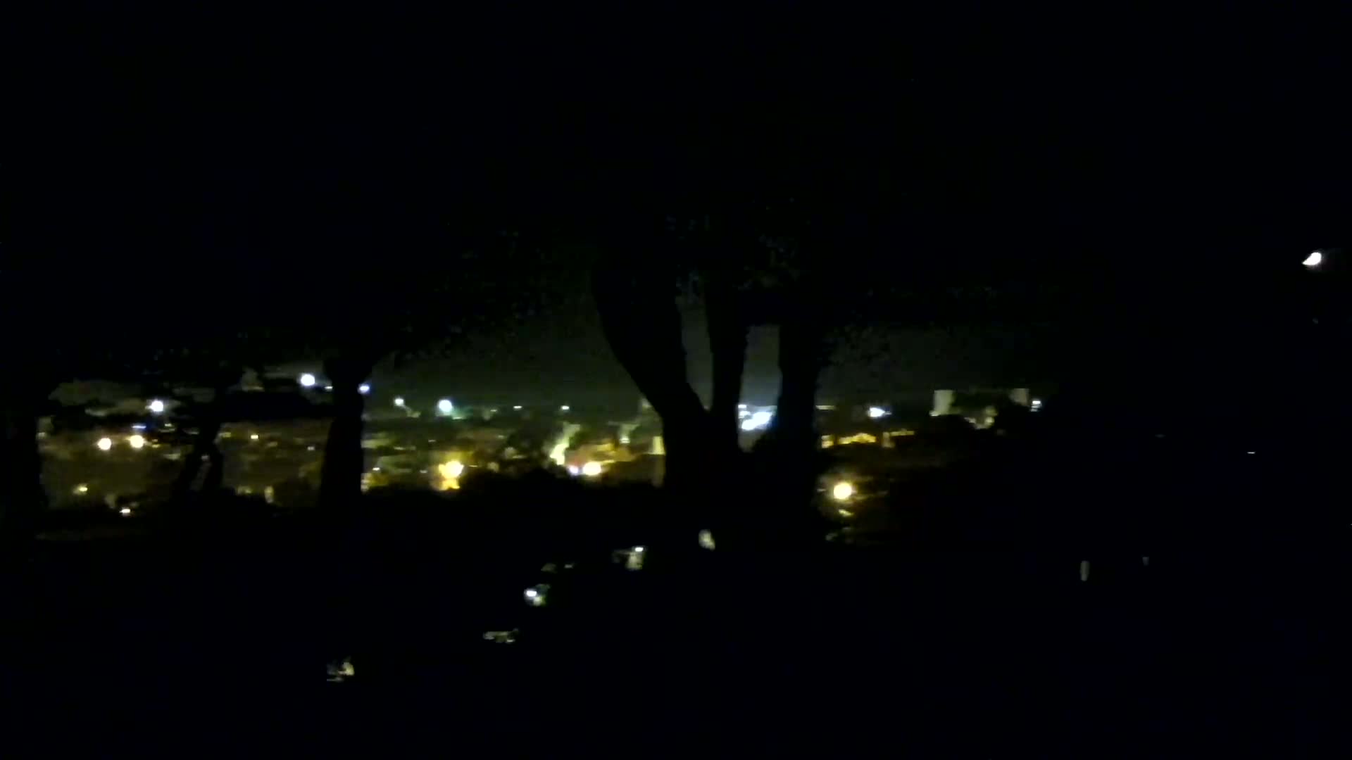 A nighttime view from behind silhouetted trees shows a dimly lit town in the distance.