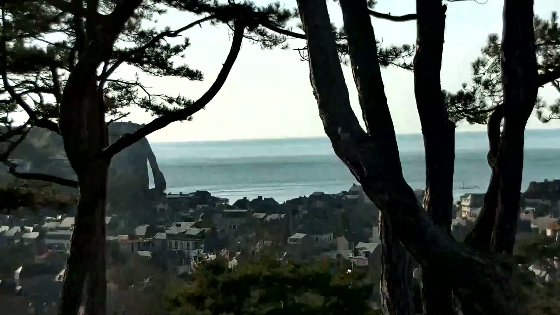 A coastal town is visible beyond several dark pine tree trunks, with a calm ocean in the background under a mostly clear sky.
