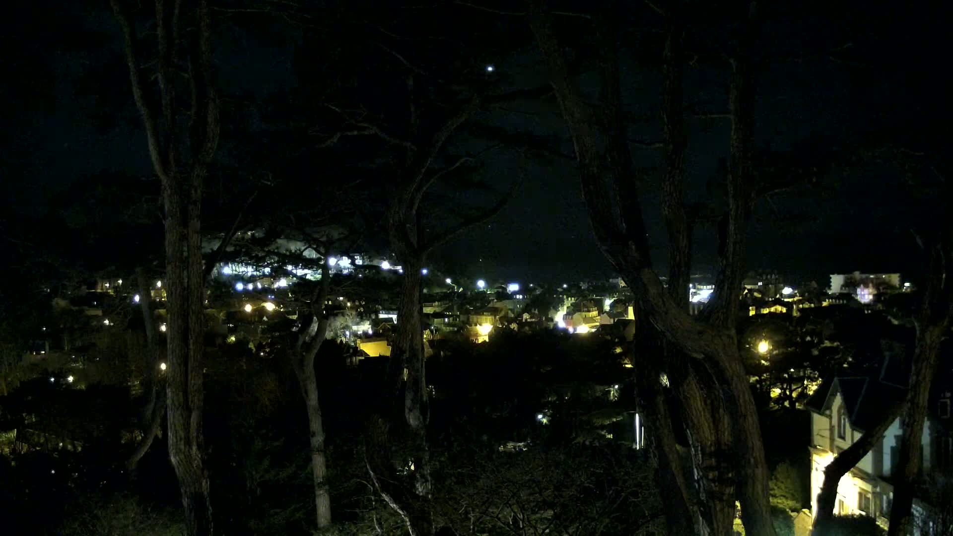 A nighttime view of a town's illuminated buildings and streets, partially obscured by dark trees.