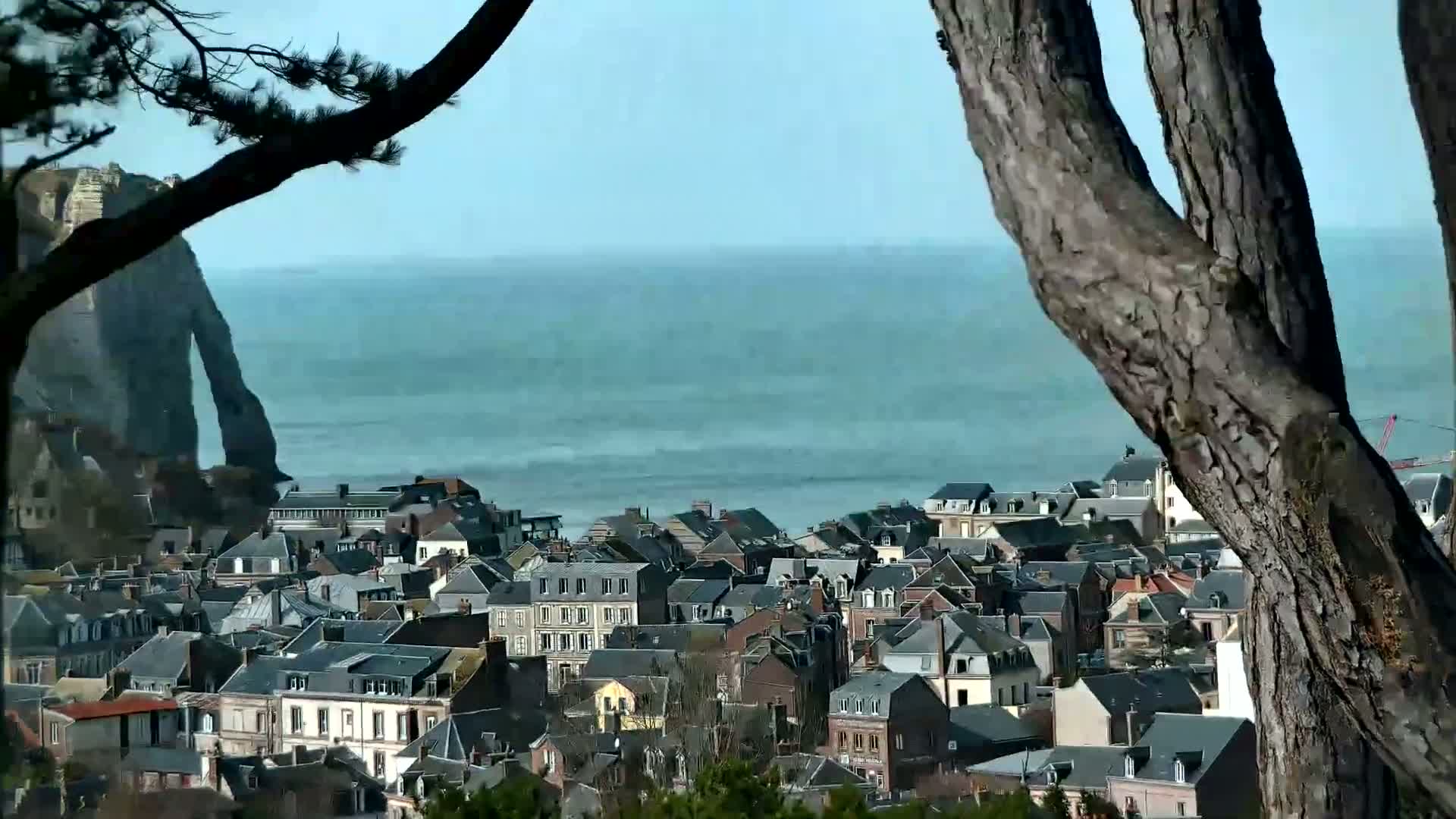 A coastal town with many dark-roofed houses sits before a calm ocean and a large cliff, partially obscured by tree branches.