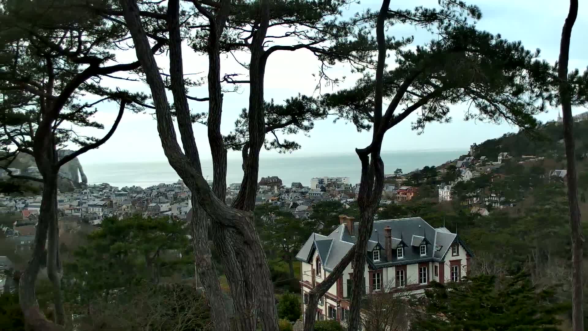 A coastal town nestled on a hillside, partially obscured by dark pine trees, is visible under an overcast sky with a calm ocean in the background.