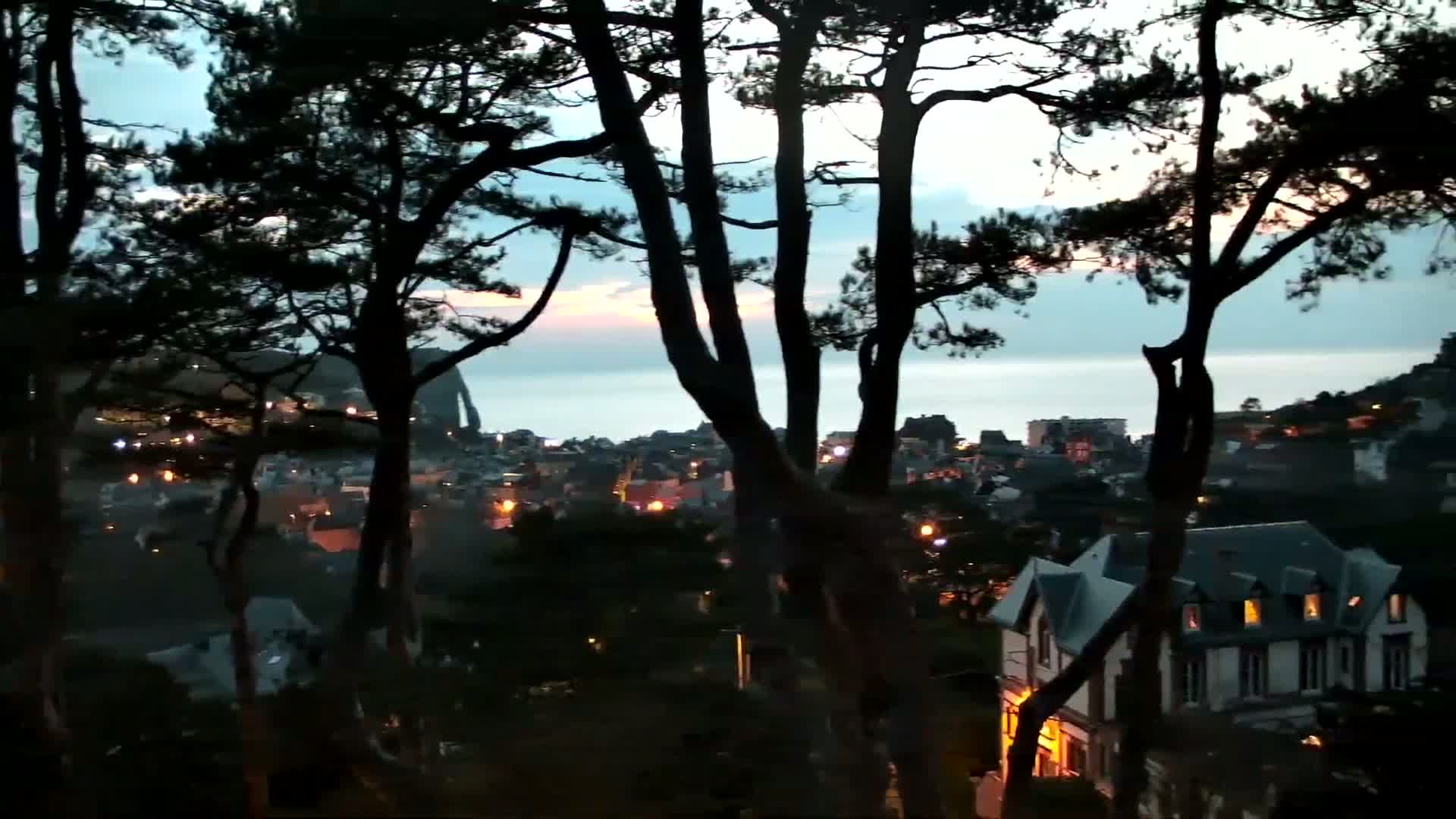 Silhouetted trees frame a twilight view of a coastal town with illuminated buildings and a calm sea in the distance.
