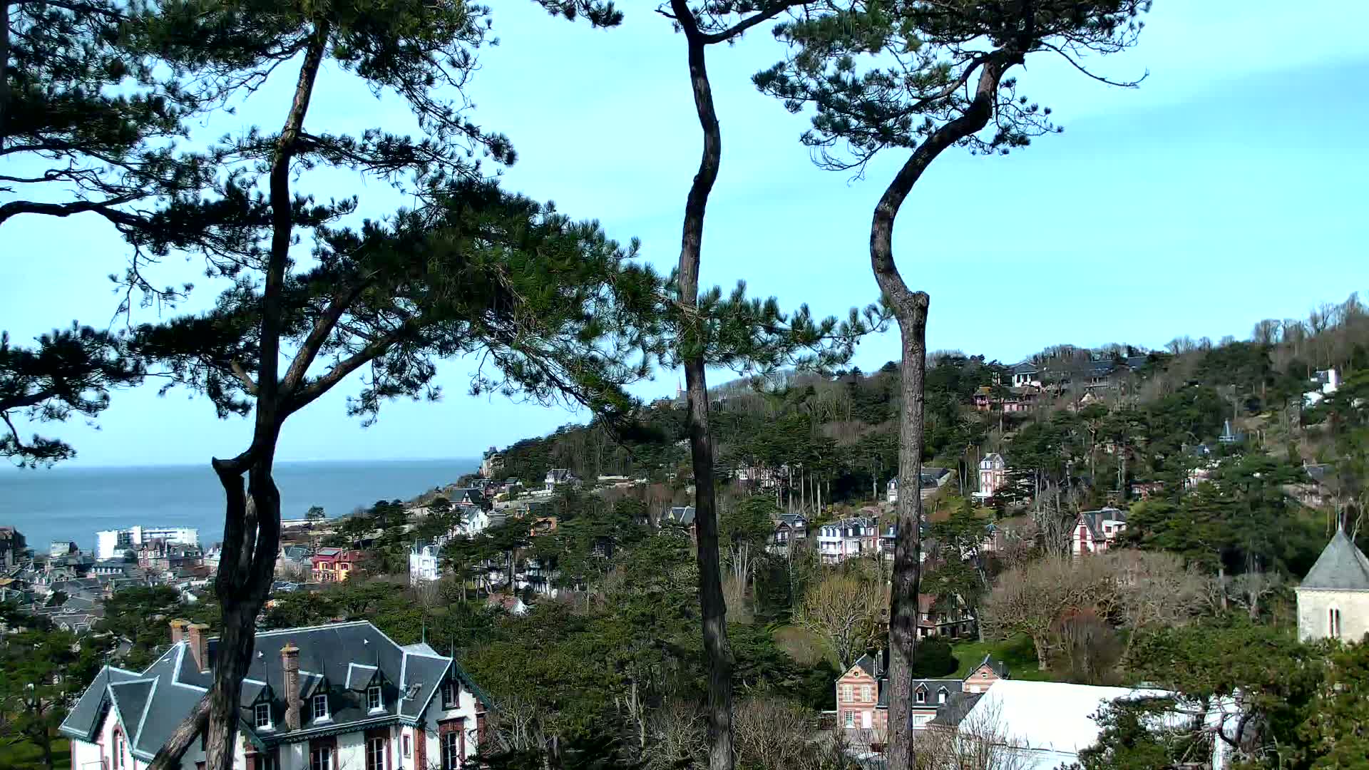 A coastal hillside town is nestled among evergreen trees under a clear blue sky, with a calm ocean visible in the distance.