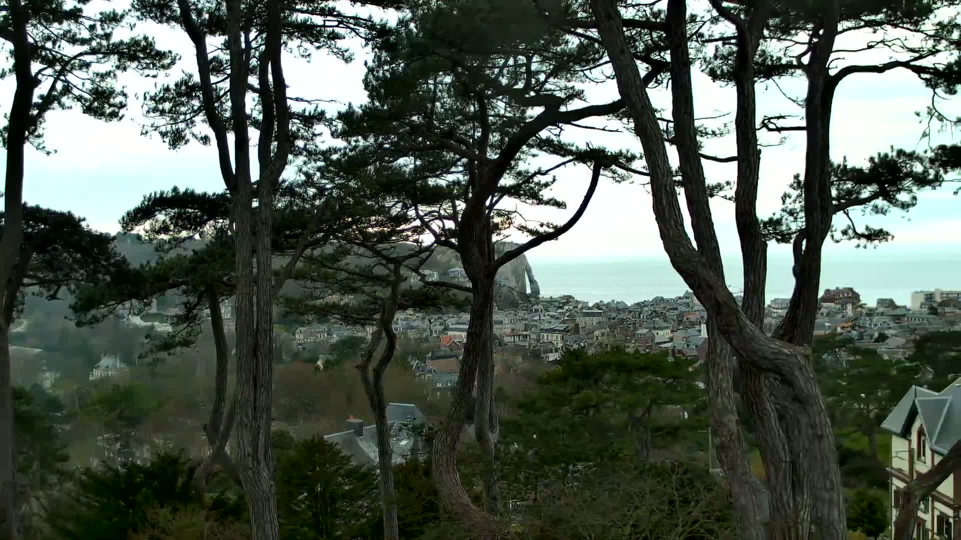 A coastal town is visible through the branches of several pine trees on an overcast day.