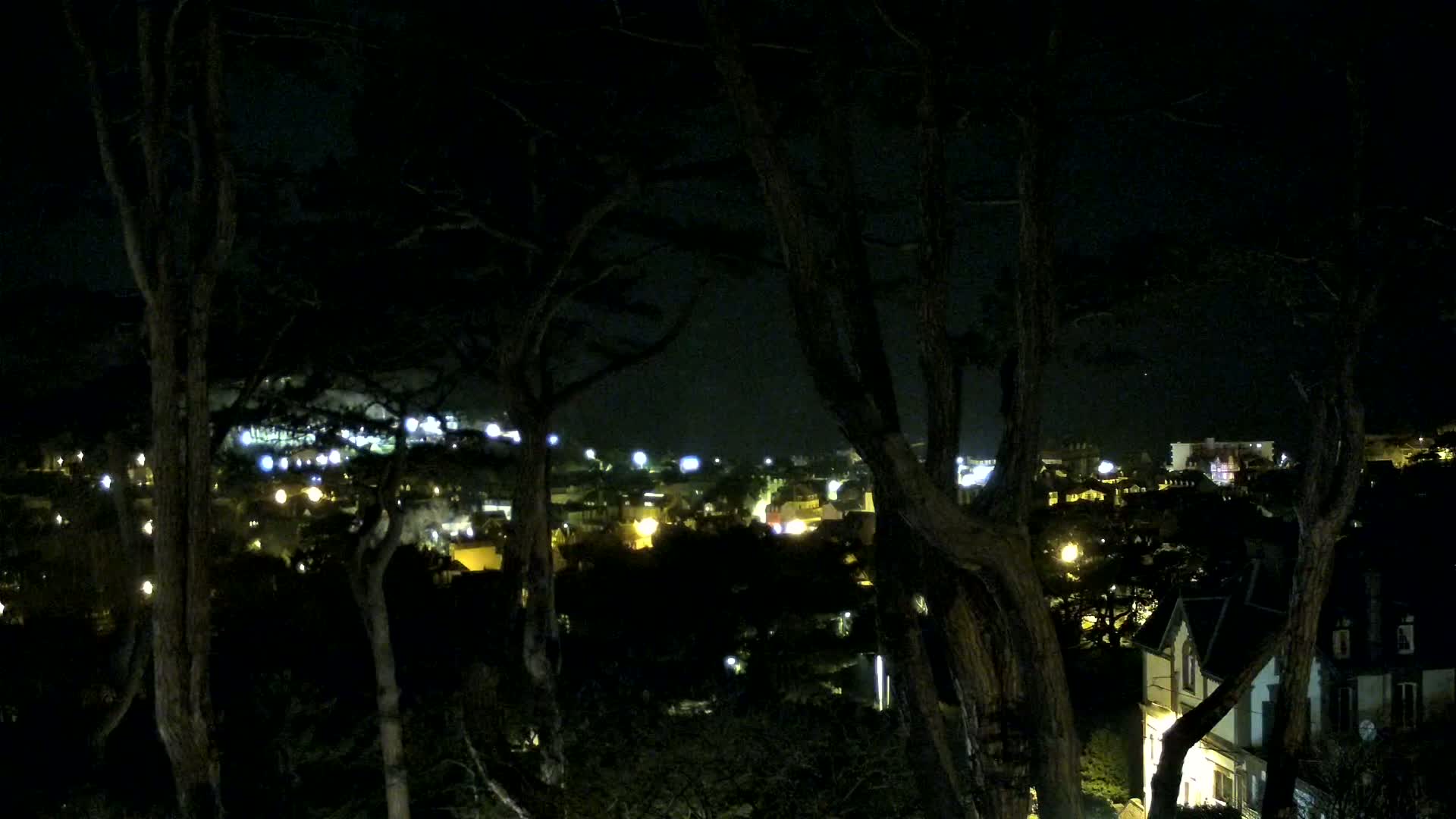 A nighttime view of a town's illuminated buildings and streets seen through the dark silhouettes of trees.