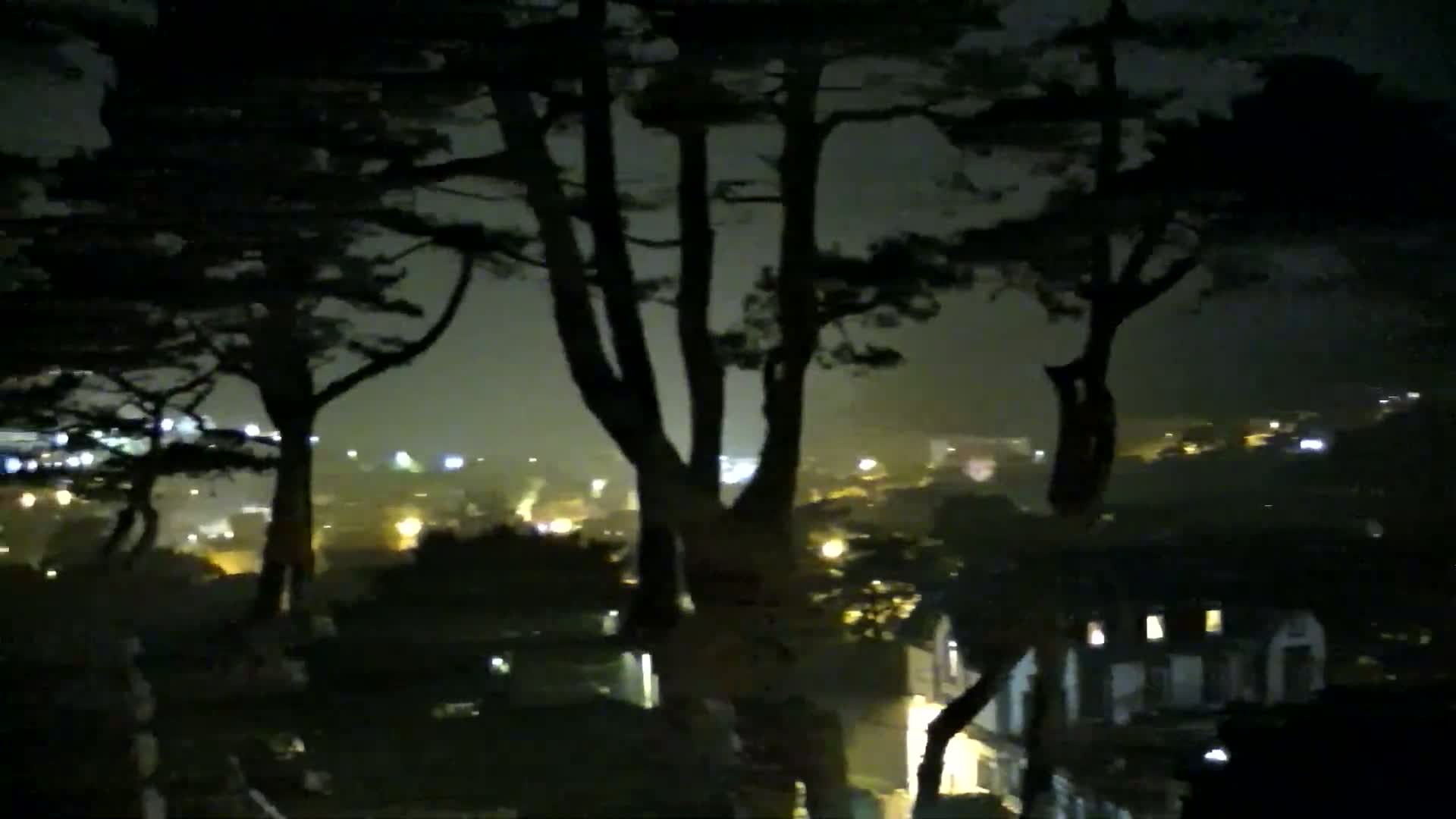 Silhouetted trees stand in the foreground, overlooking a hazy, dimly lit town at night.