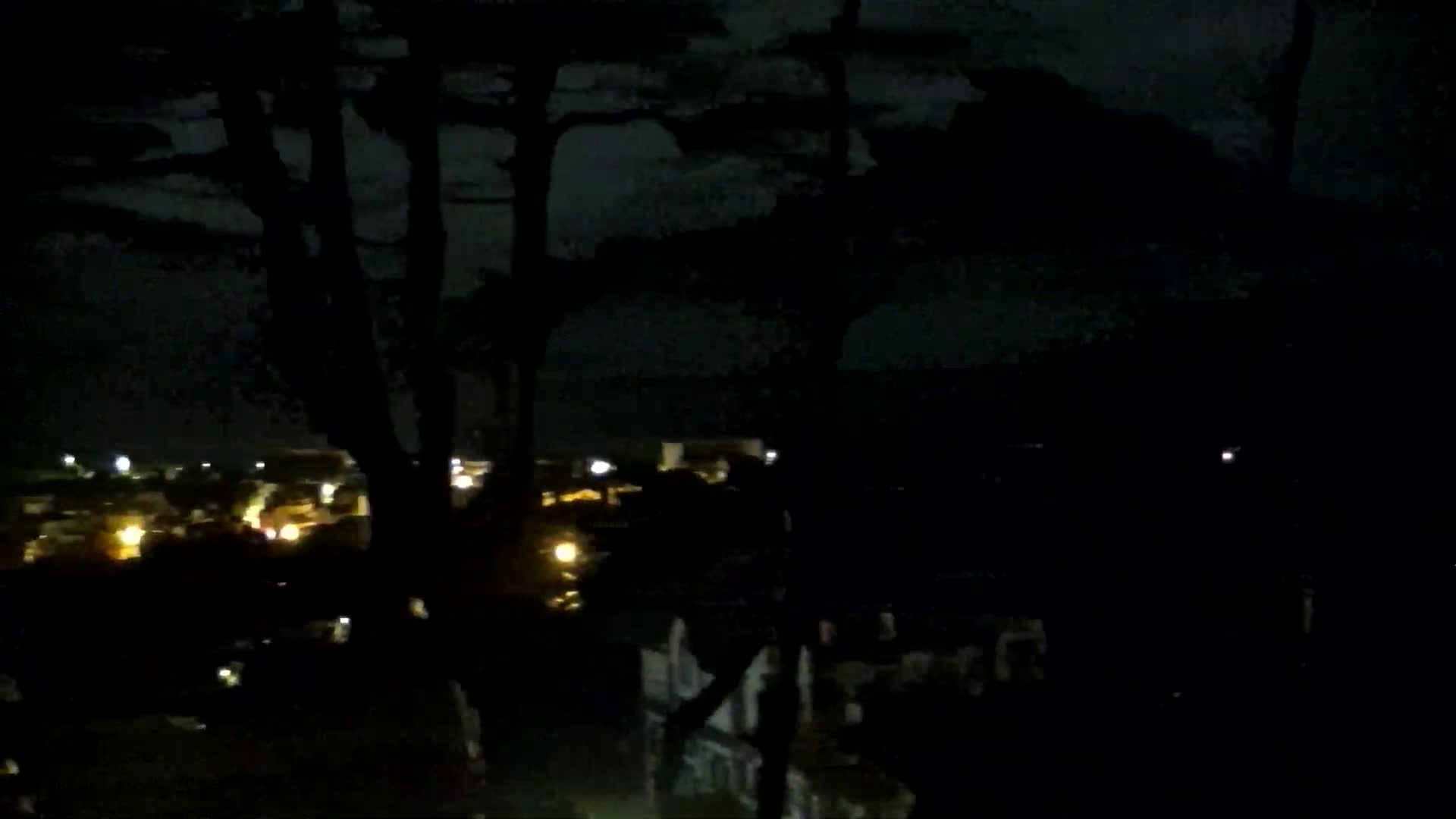 A nighttime view of a town's lights partially obscured by dark trees under a cloudy sky.