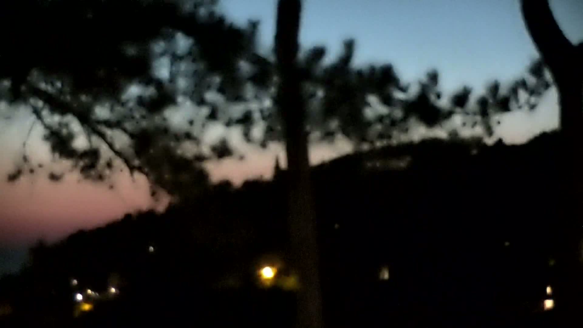 A blurry image shows a dark silhouette of trees against a twilight sky with faint pink hues, overlooking a dimly lit landscape at night.