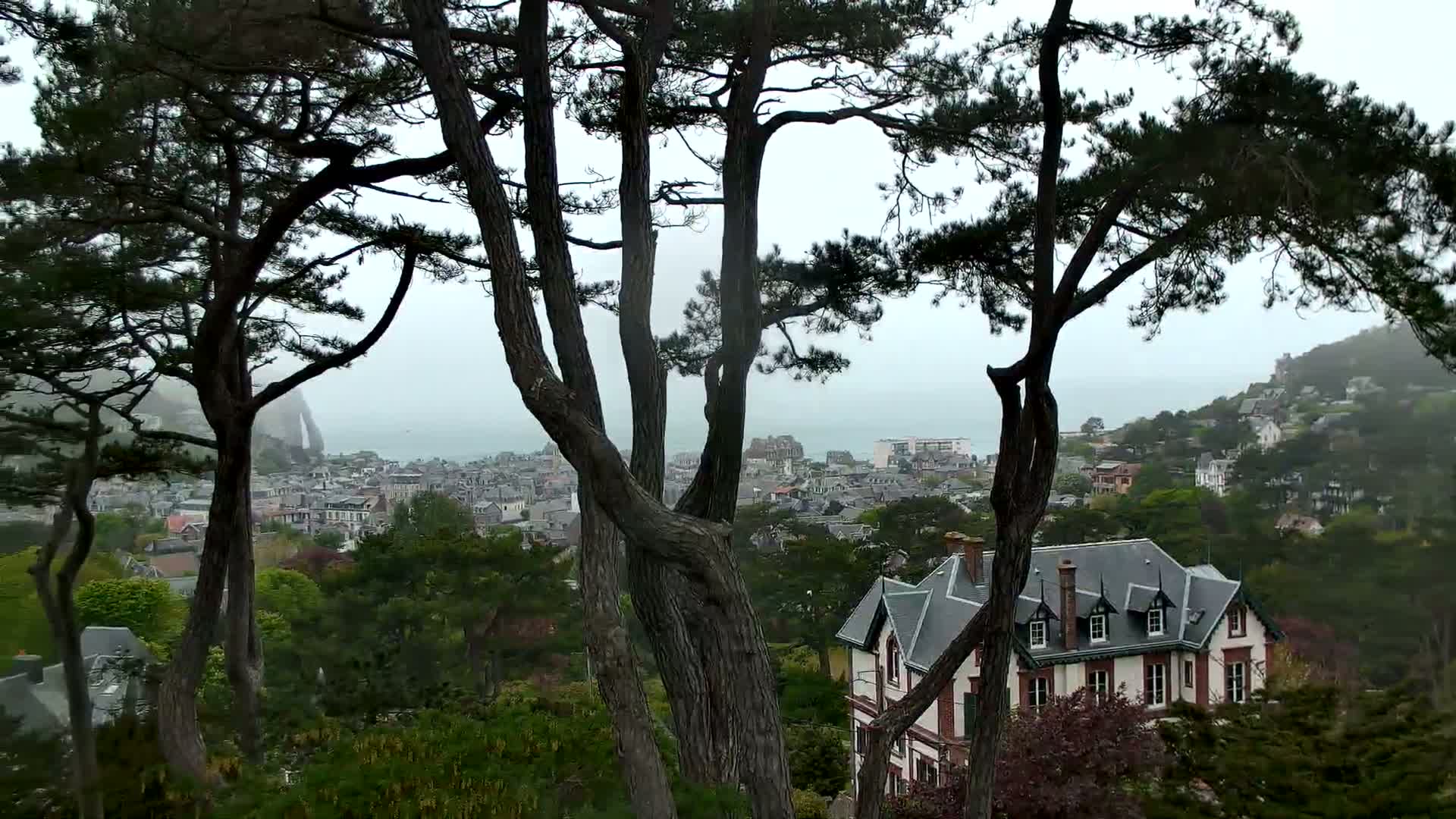 A large house with a gray roof is partially visible through several tall, dark pine trees overlooking a coastal town on an overcast day.