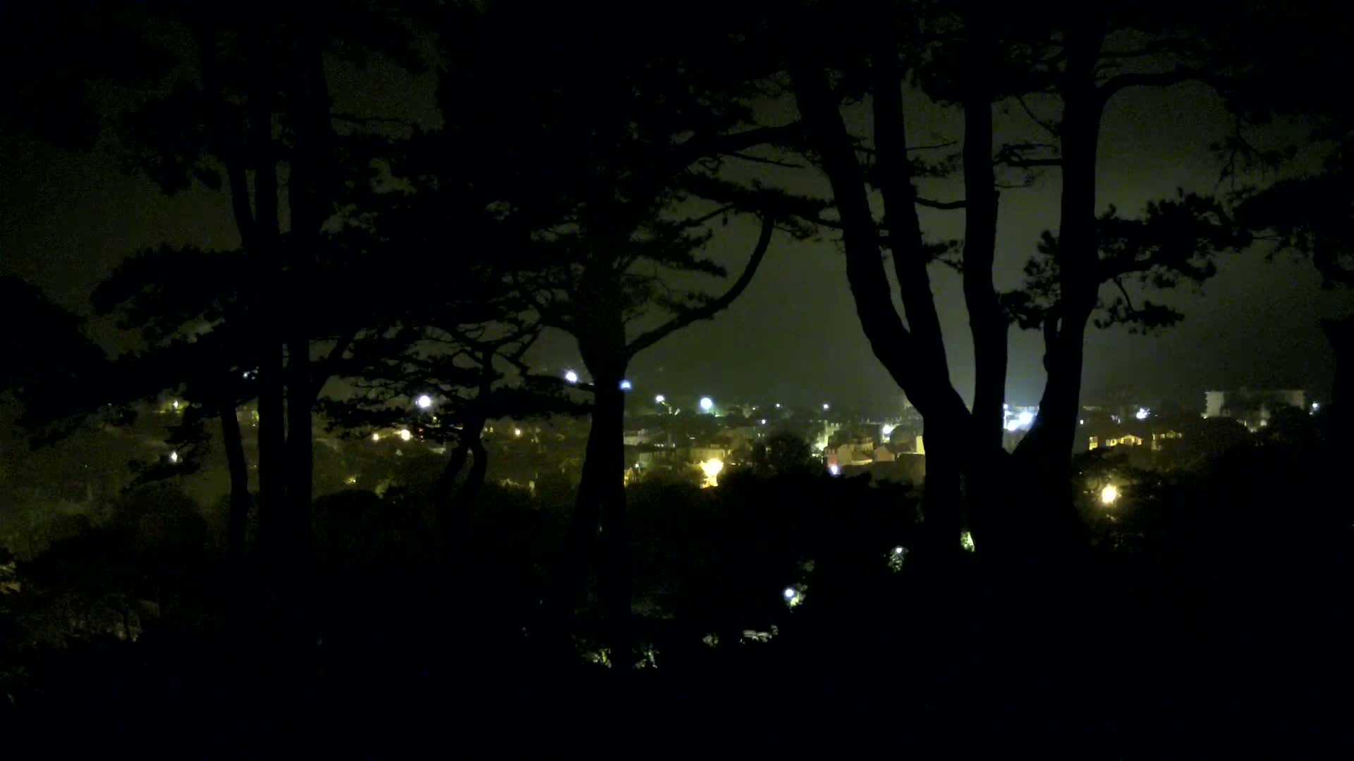 Silhouetted trees at night obscure a view of a dimly lit town under a hazy sky.