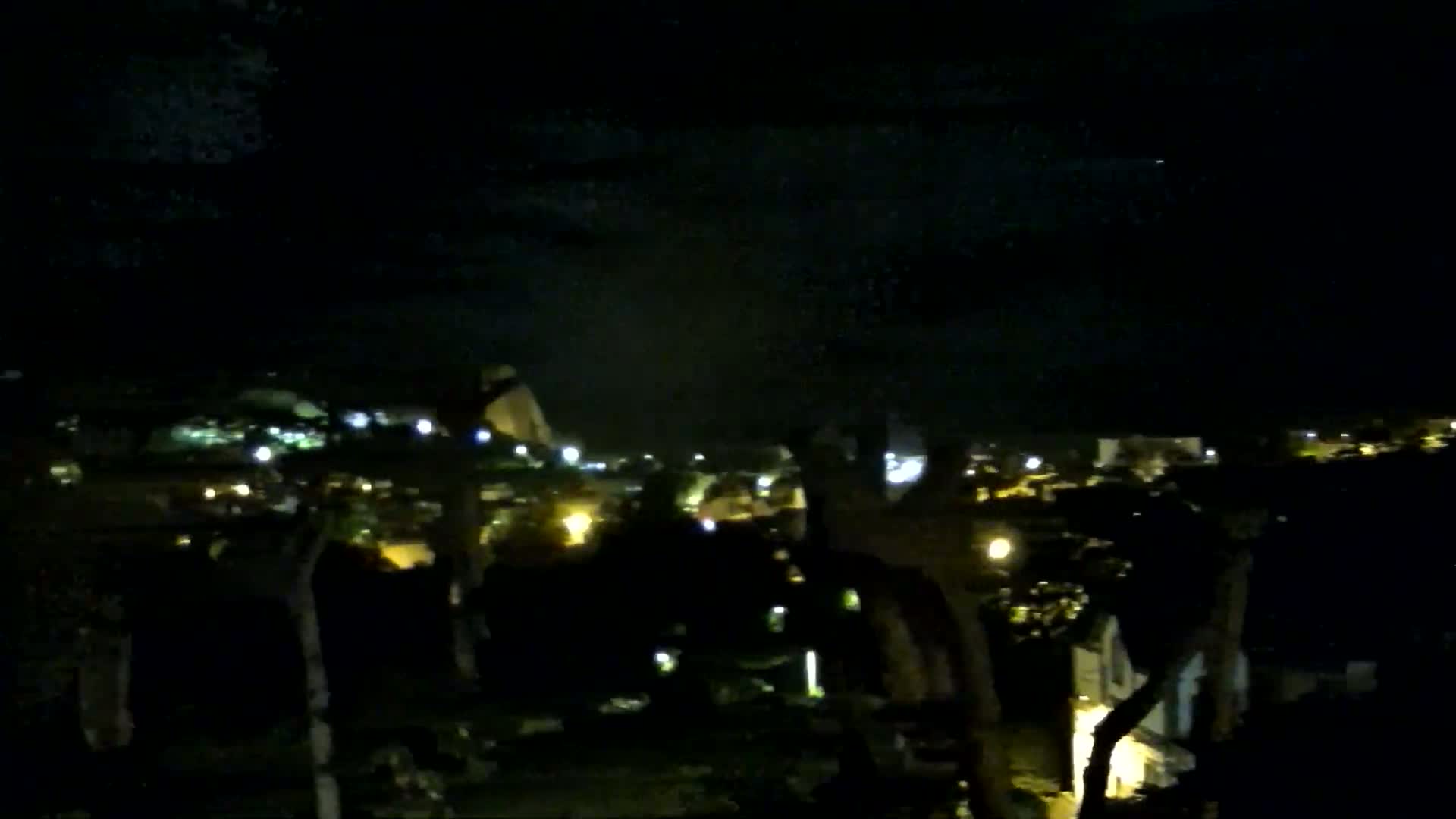 A nighttime view of a city's lights partially obscured by silhouetted trees under a dark, cloudy sky.
