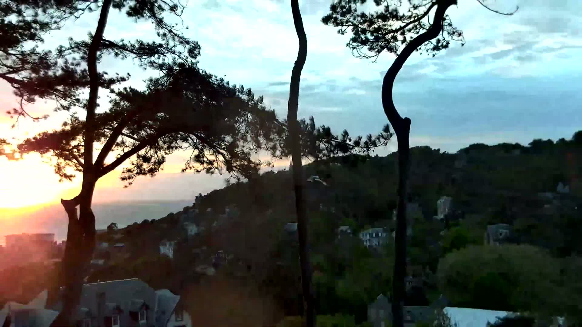 Silhouetted pine trees frame a sunset over a hillside town, with a hazy sky.
