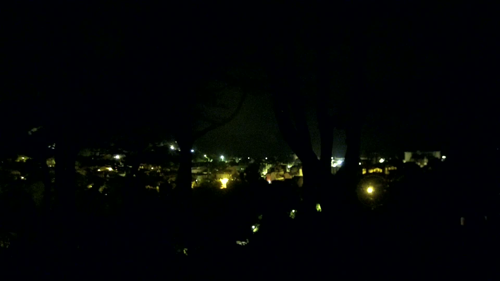 A nighttime view of a town's lights seen from behind silhouetted trees under a dark sky.