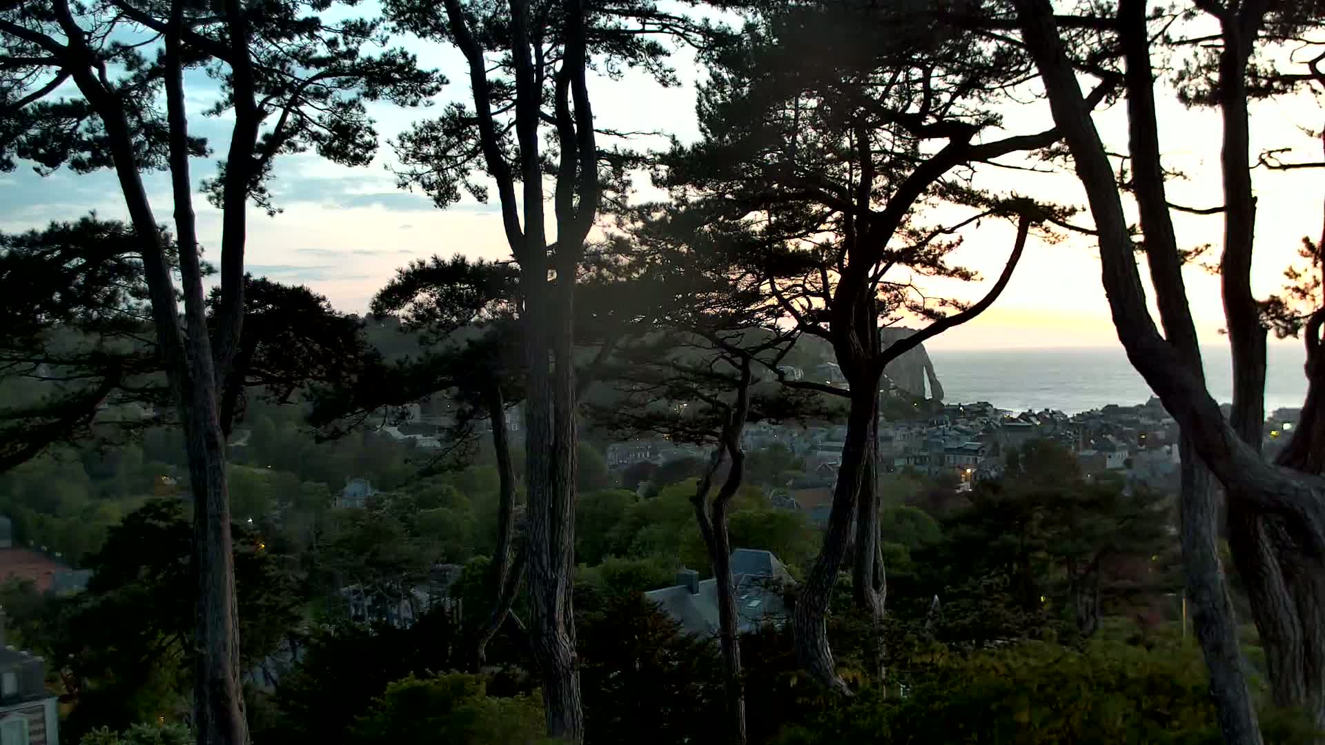 Silhouetted pine trees frame a view of a coastal town at sunset, with calm ocean visible in the distance.