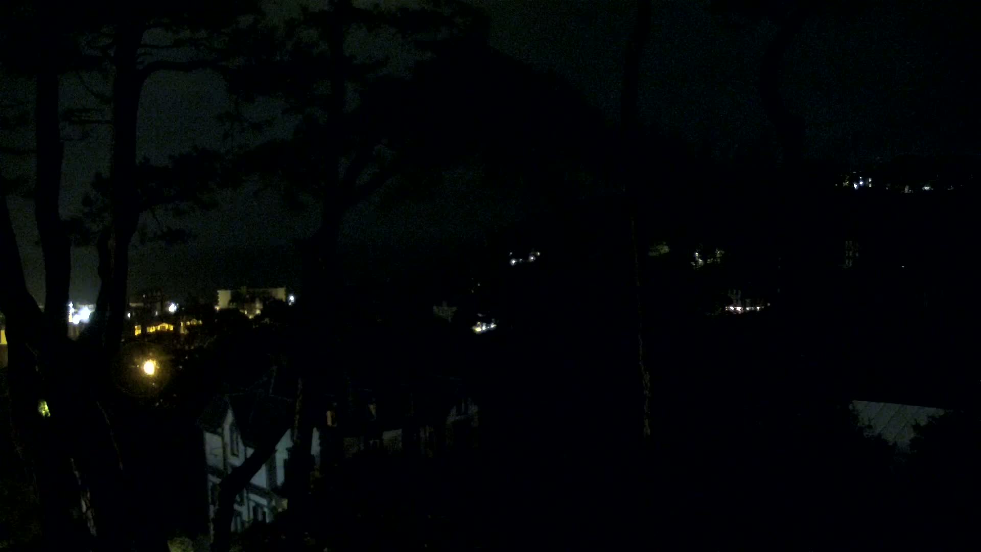 A nighttime view from behind silhouetted trees shows a dimly lit town nestled in a dark valley.